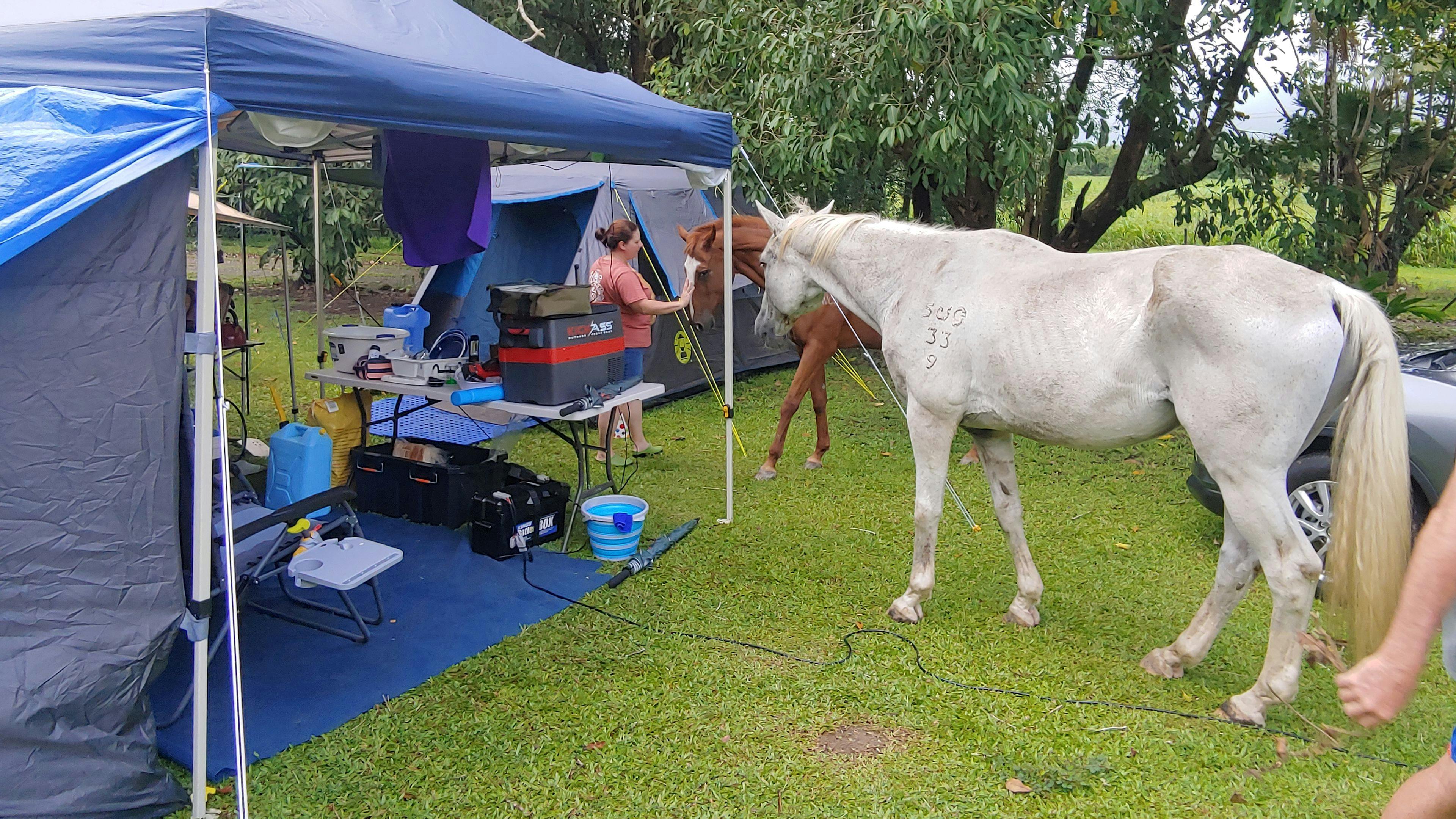 Pamona Park, nr Gordonvale
