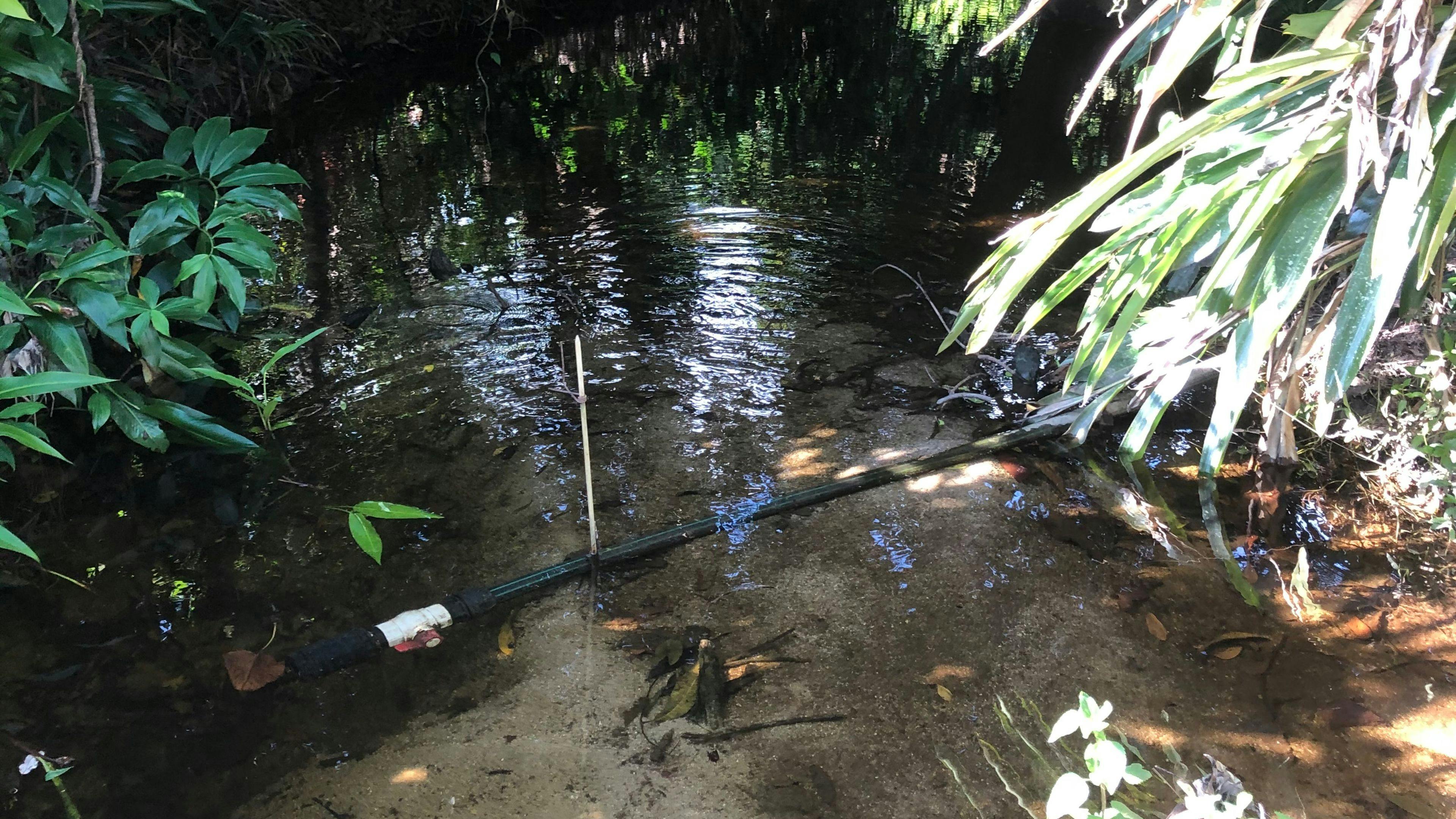 Pamona Park, nr Gordonvale