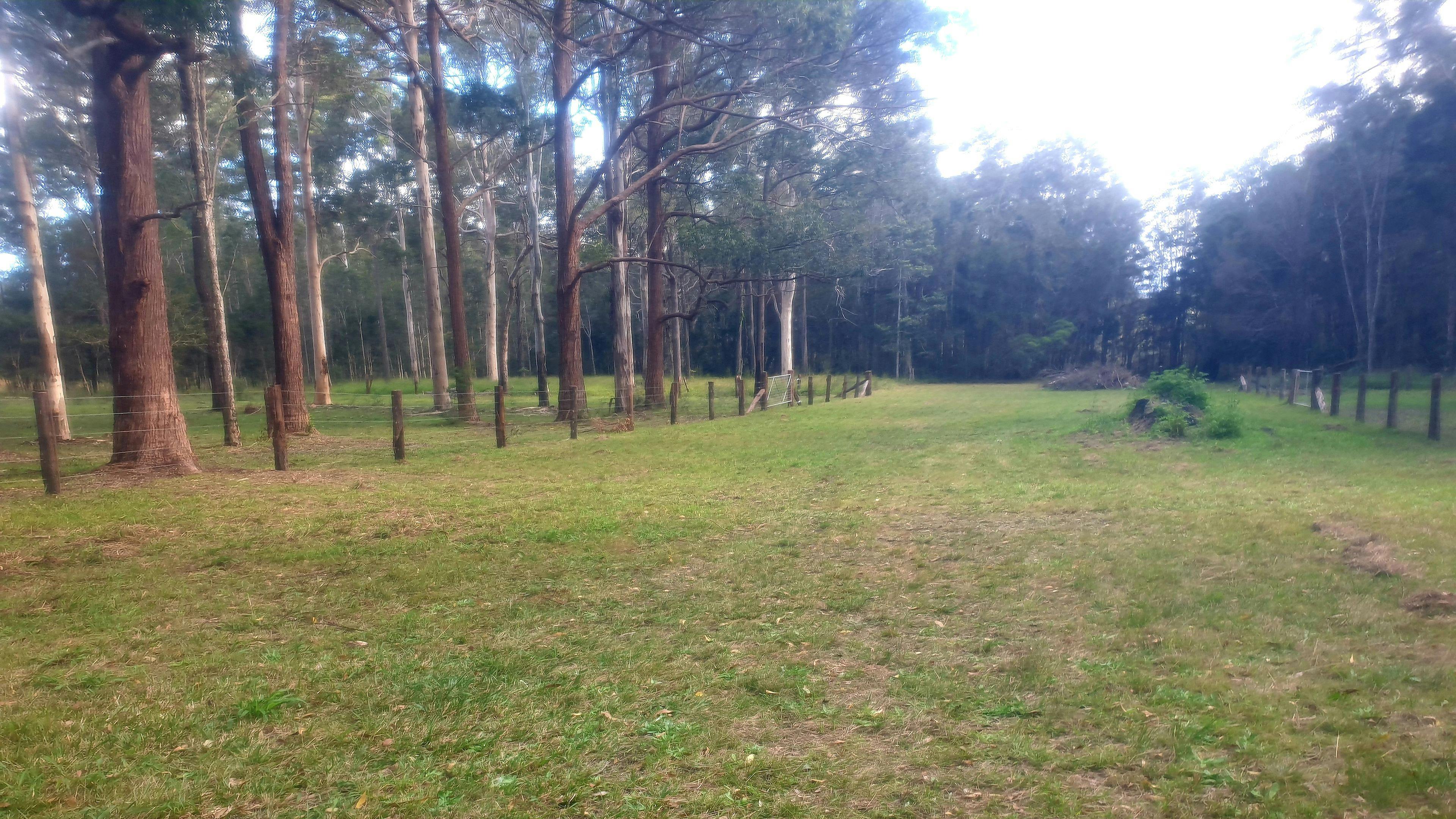 Paradise in Verges Creek