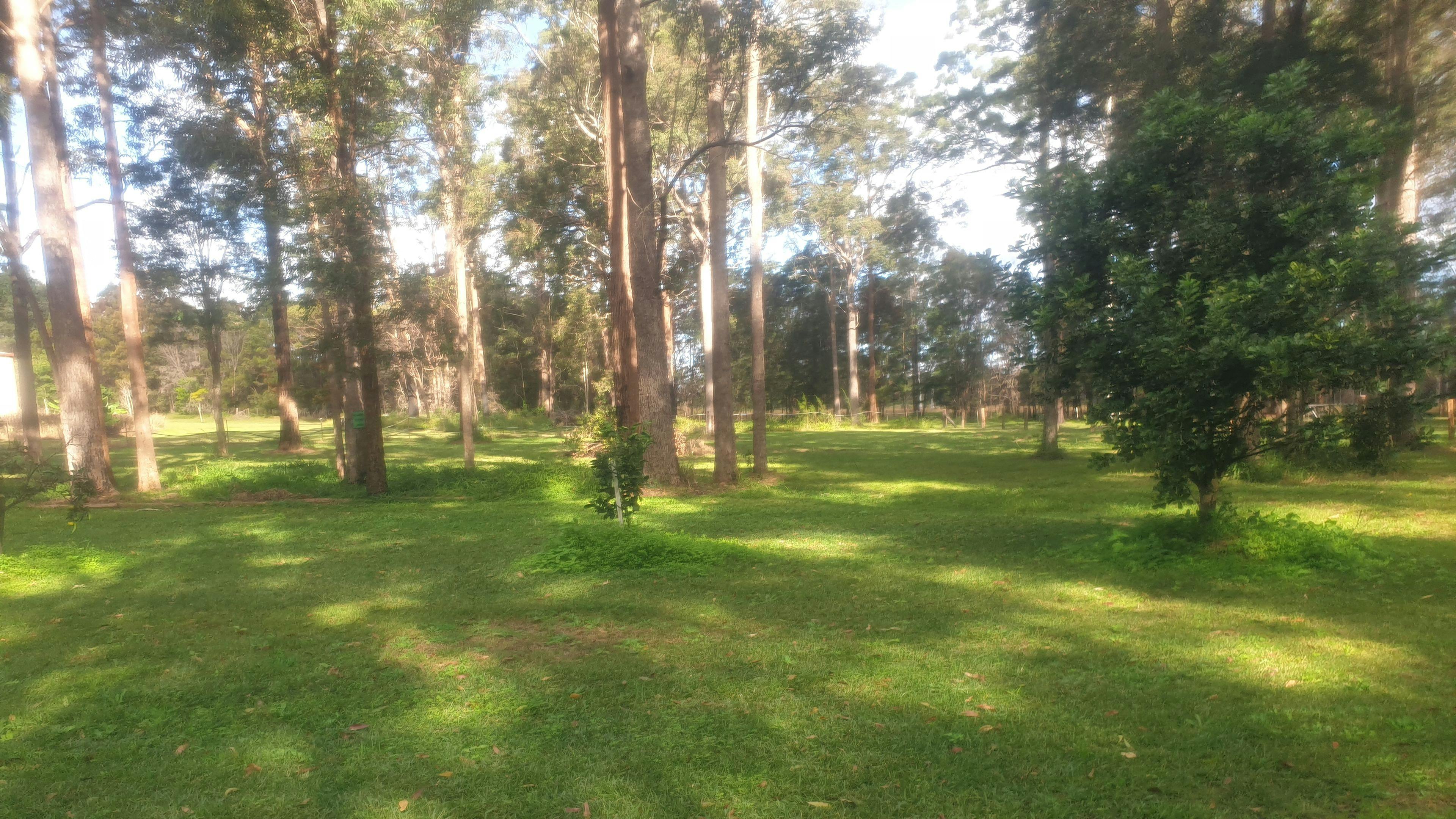 Paradise in Verges Creek