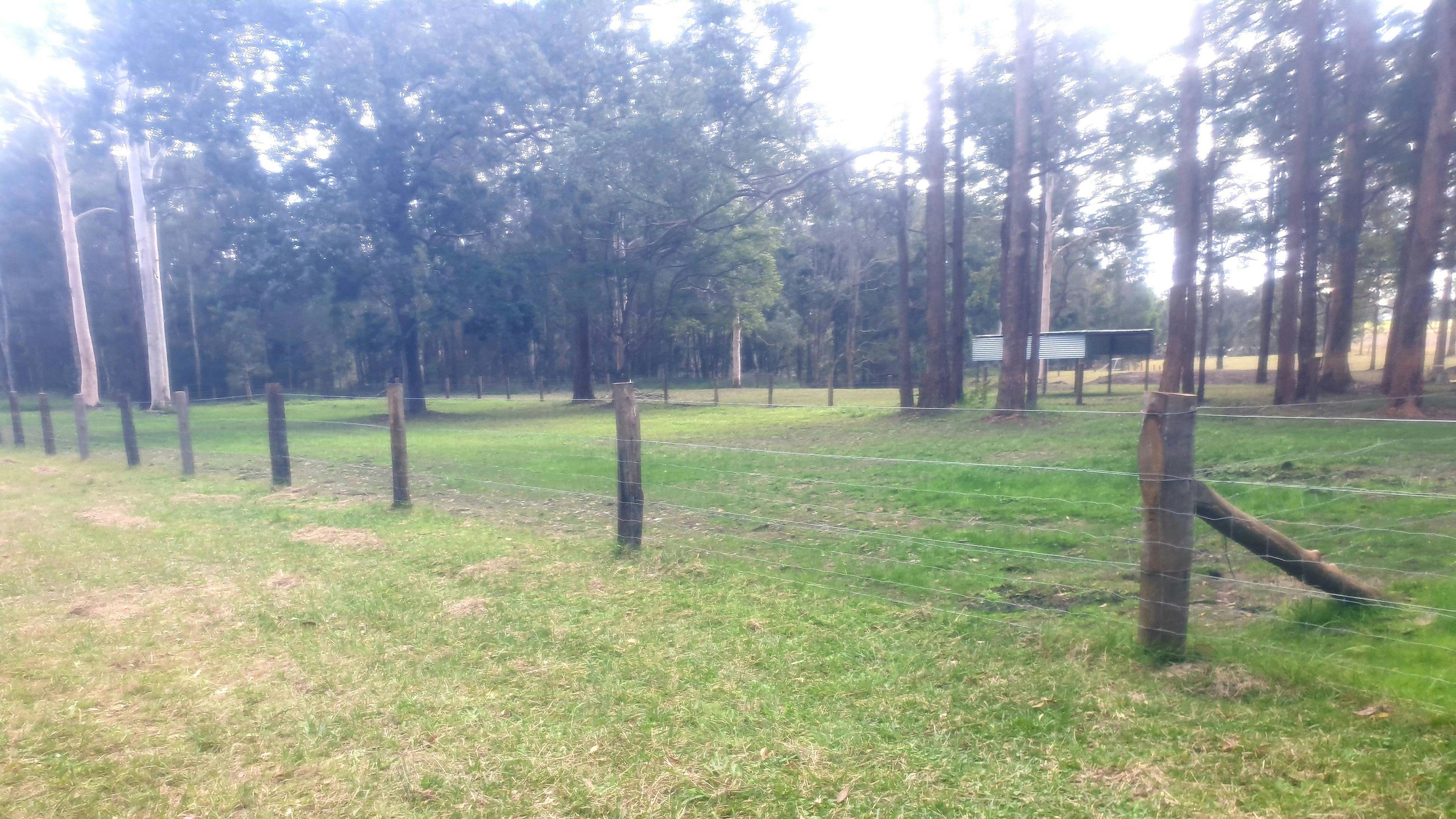 Paradise in Verges Creek