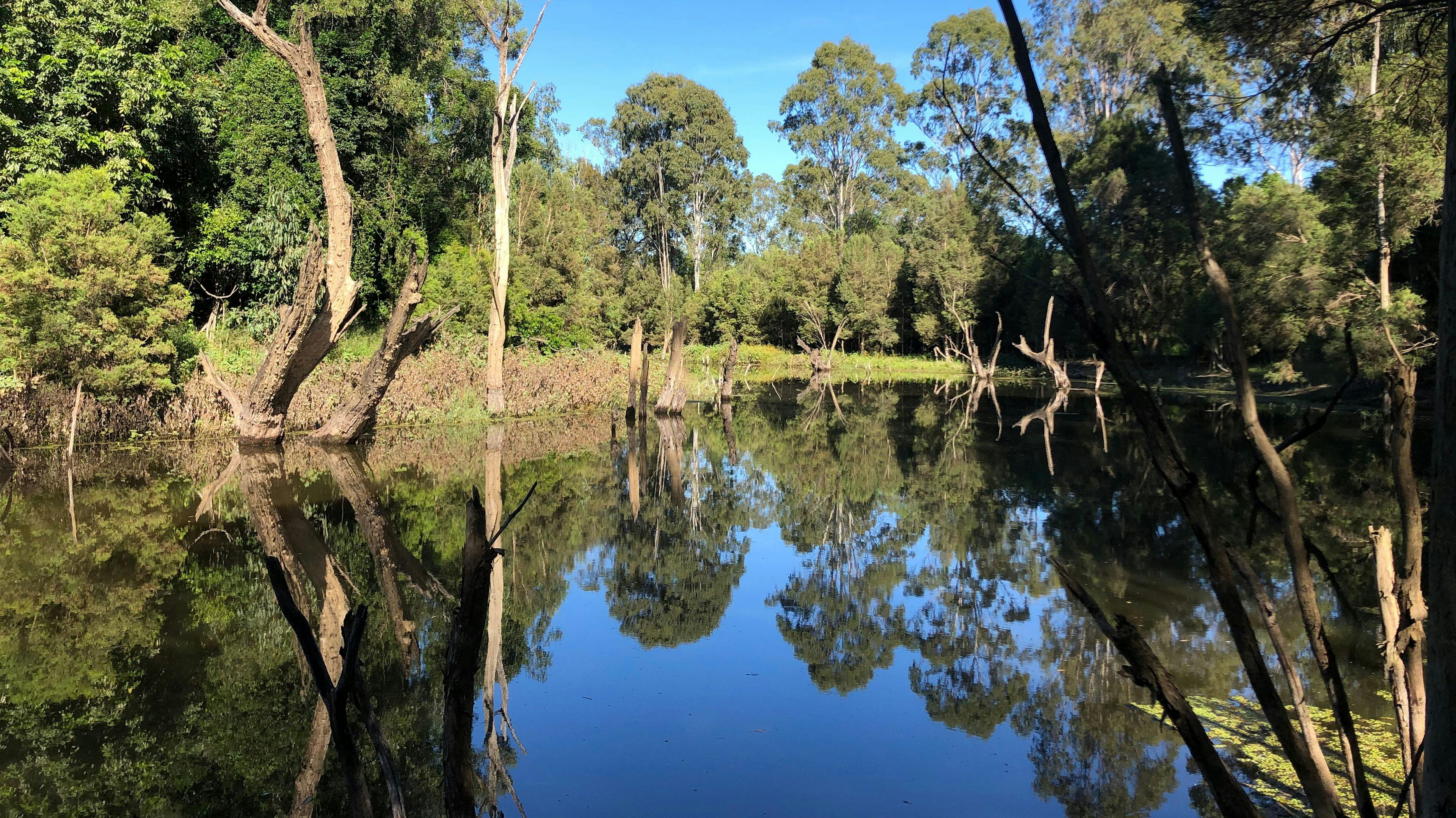 Paradise Lost on the Burnett