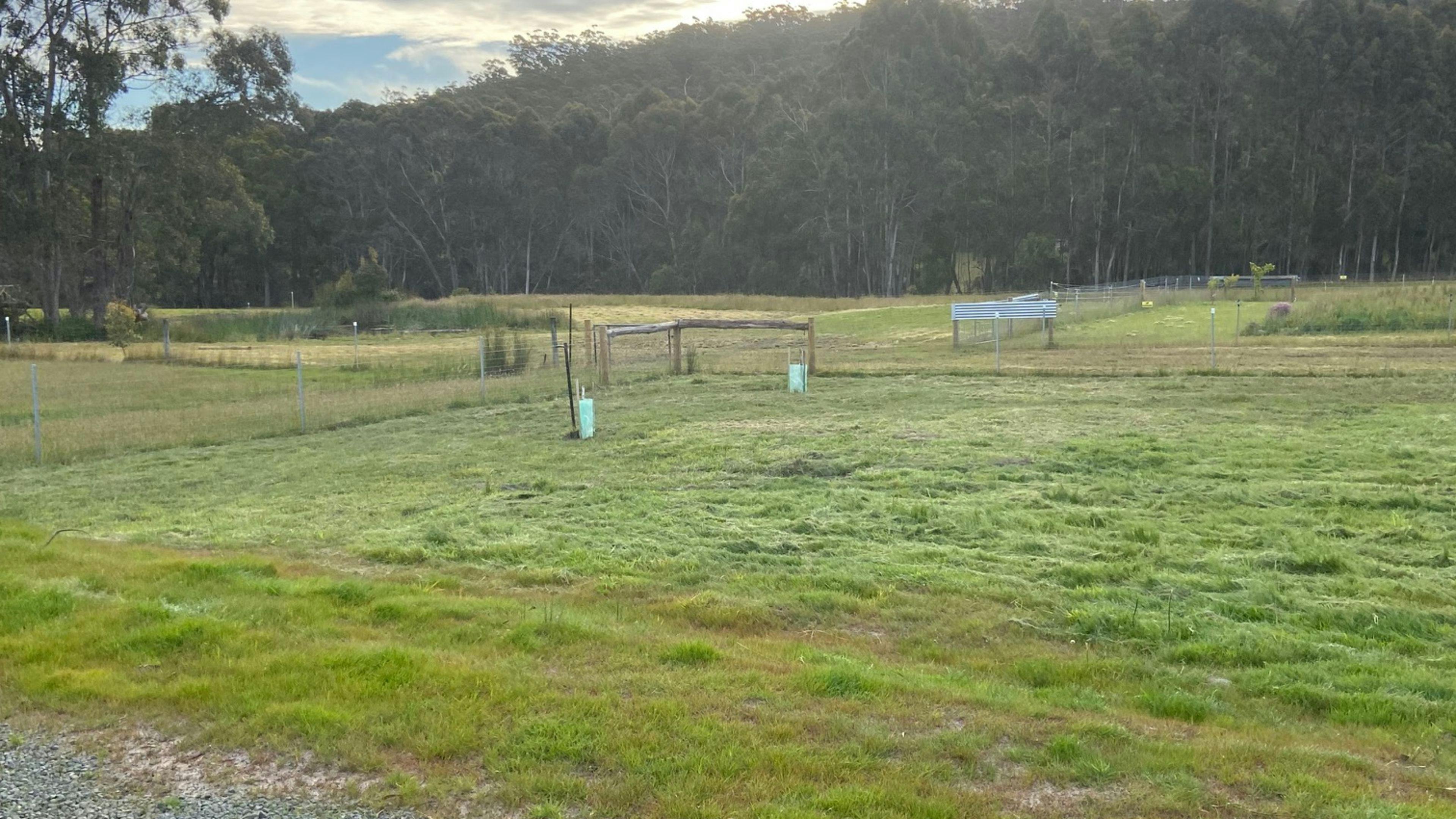 PC Campsites Taranna