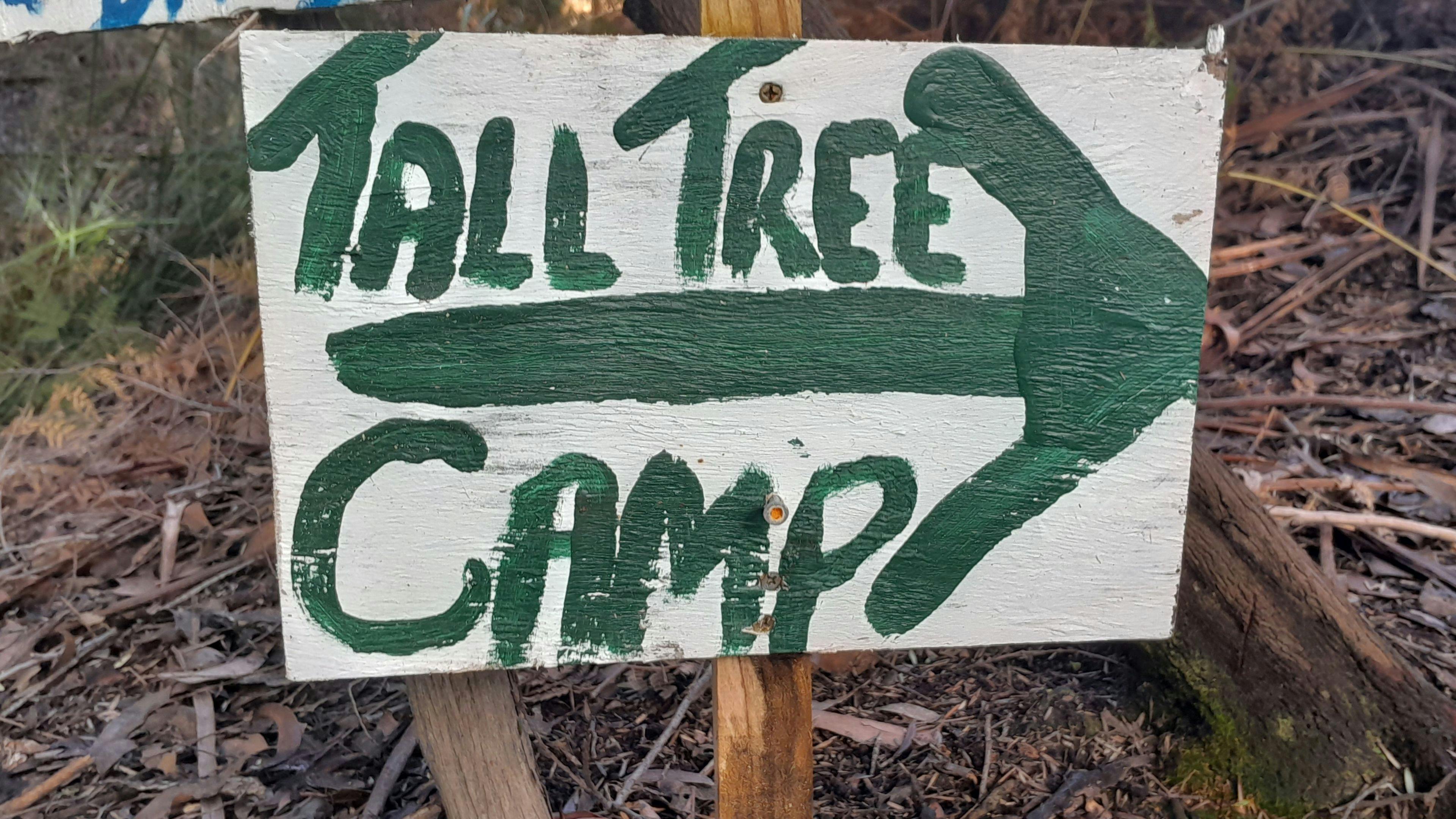 The path to The Tall Tree Camp