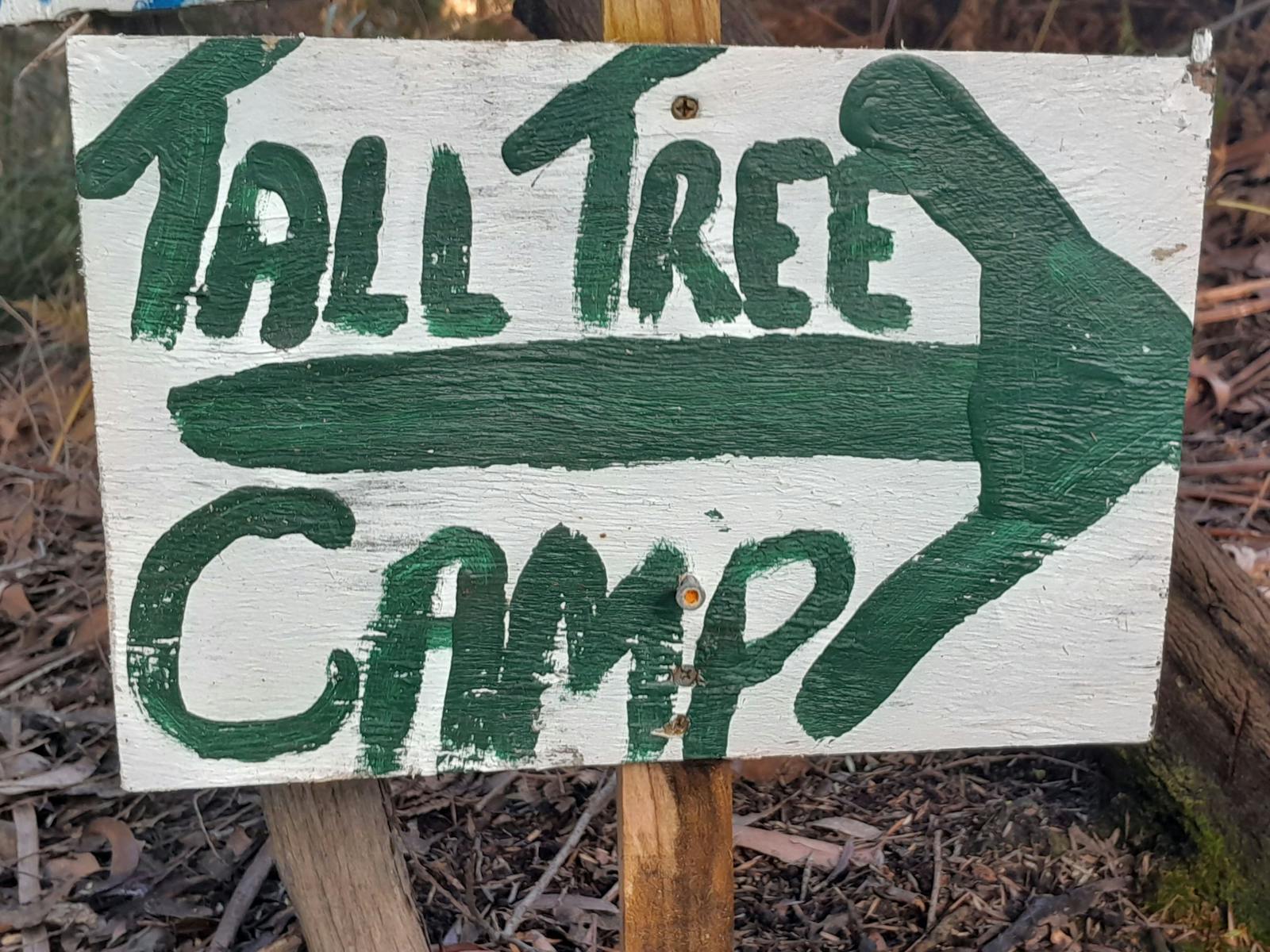 The path to The Tall Tree Camp