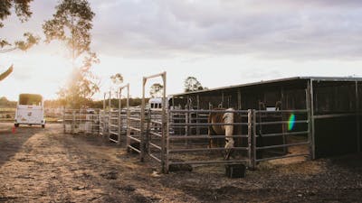 Janisa | Horse & Dog Friendly Stay