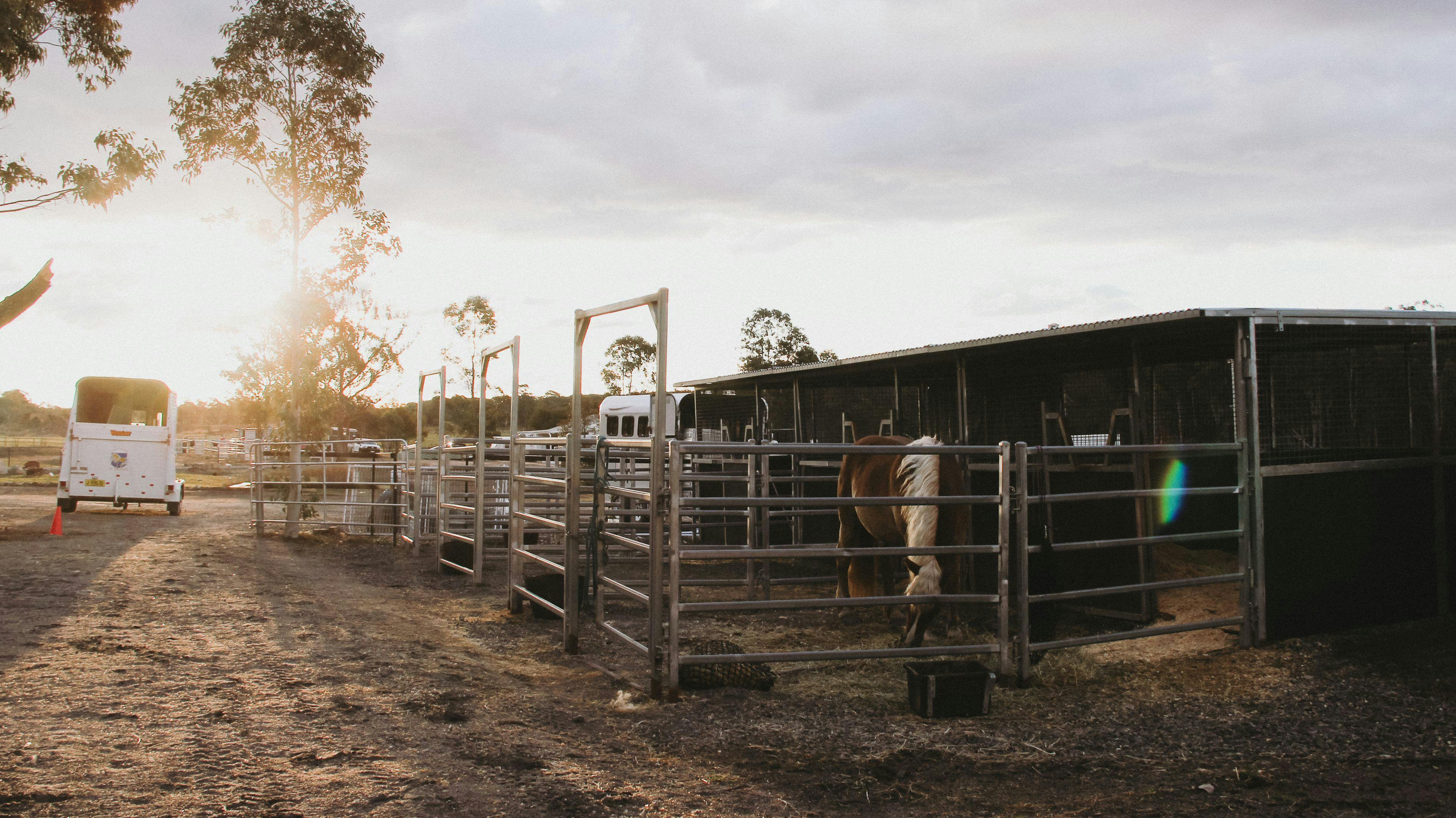 Janisa | Horse & Dog Friendly Stay