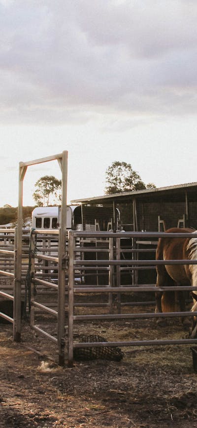 Janisa | Horse & Dog Friendly Stay