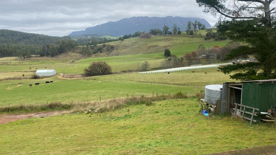 Peace in the Valley photo