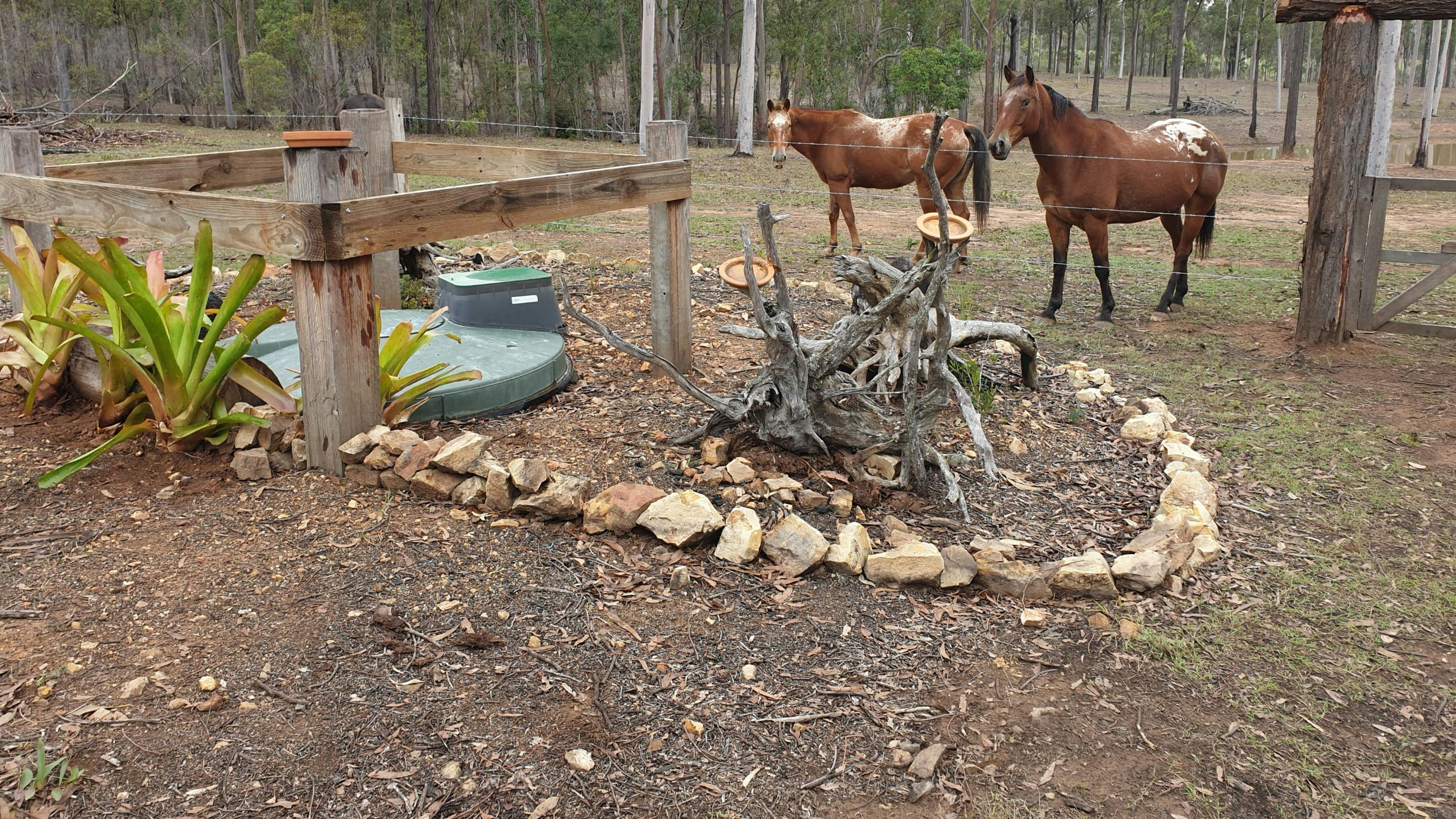 Peaceful Bush Camp-Wrinkles