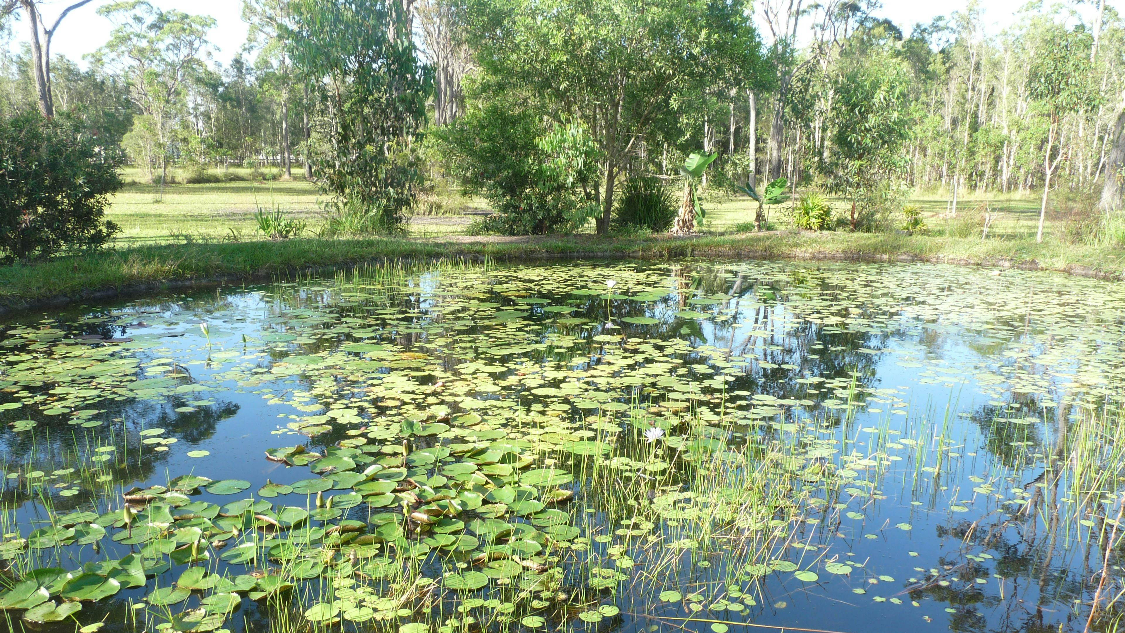 Friedliches Refugium