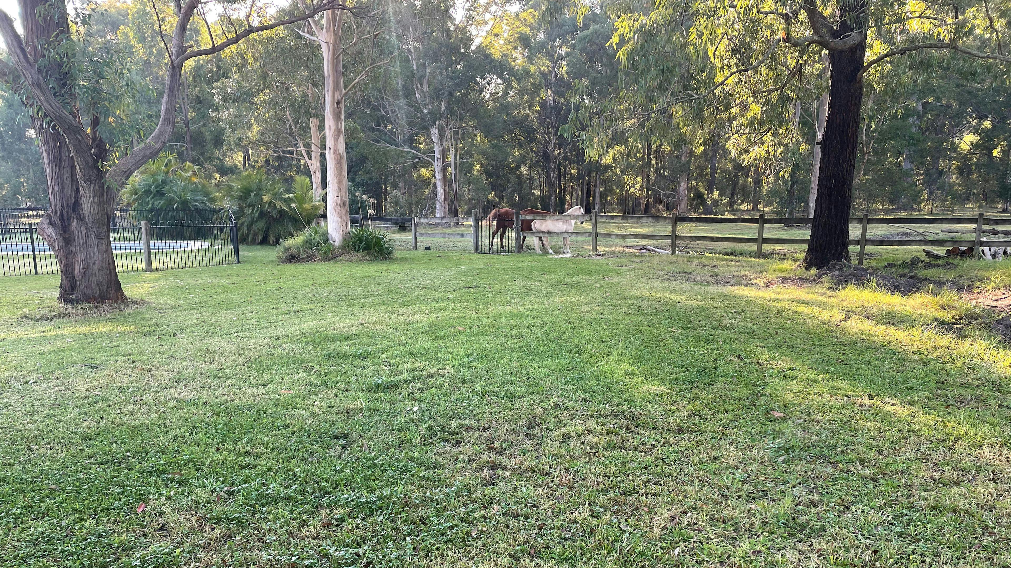 Peaceful Paddocks