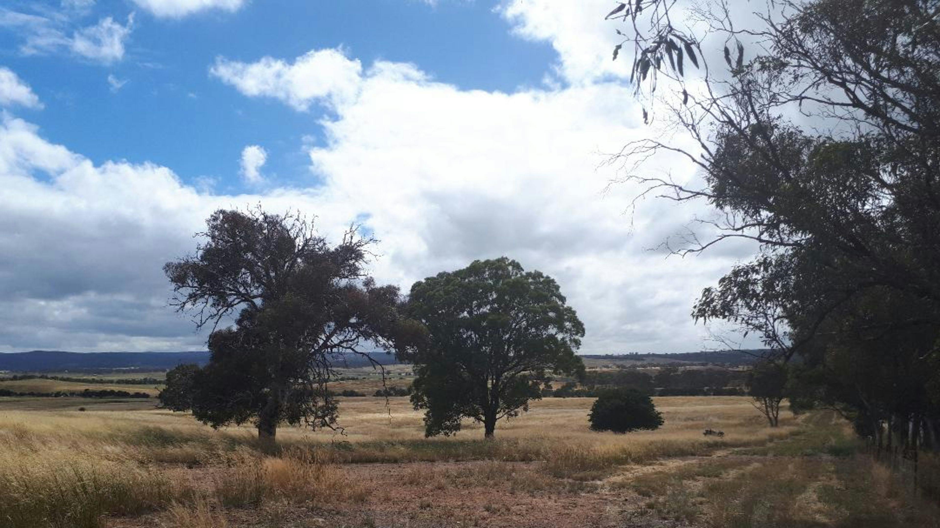 PEACEFUL RURAL PROPERTY SUTTON, NSW