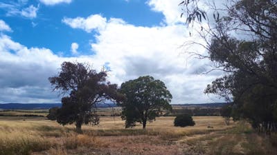 PEACEFUL RURAL PROPERTY SUTTON, NSW