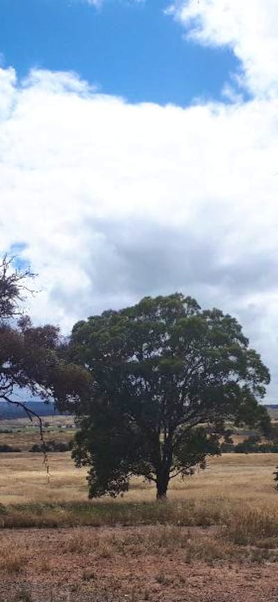 PEACEFUL RURAL PROPERTY SUTTON, NSW