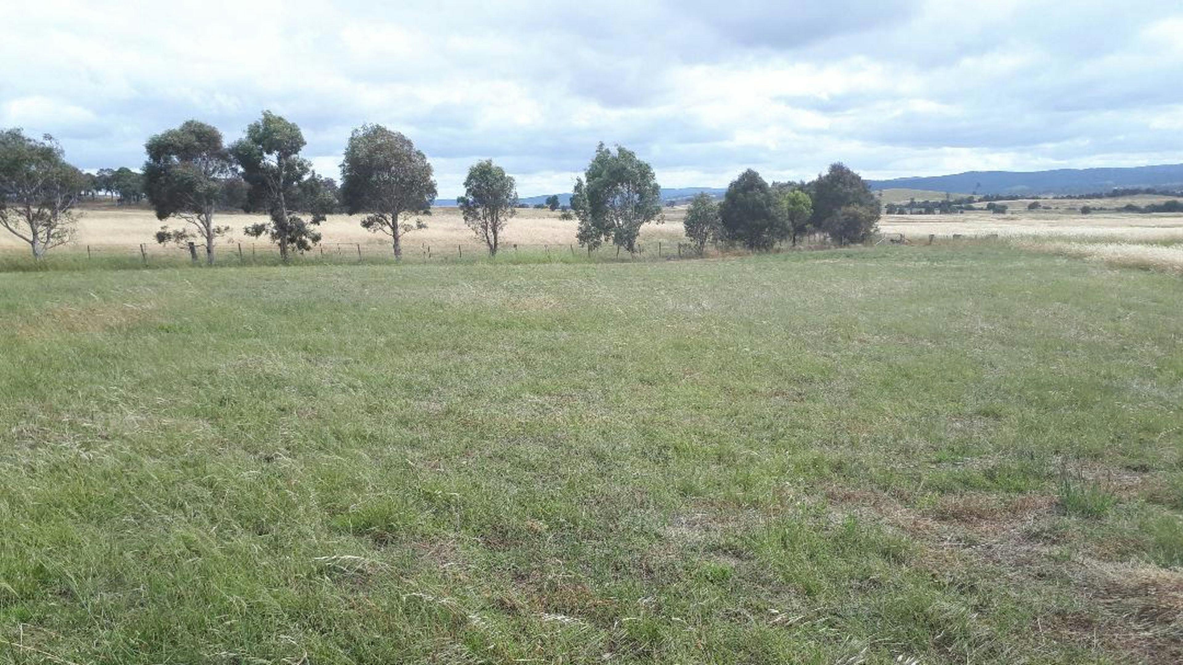 PEACEFUL RURAL PROPERTY SUTTON, NSW