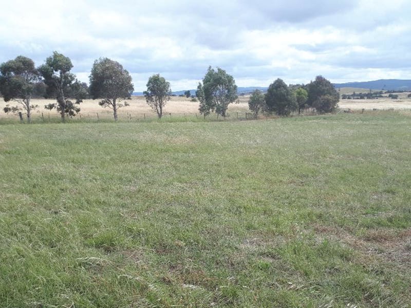 PEACEFUL RURAL PROPERTY SUTTON, NSW