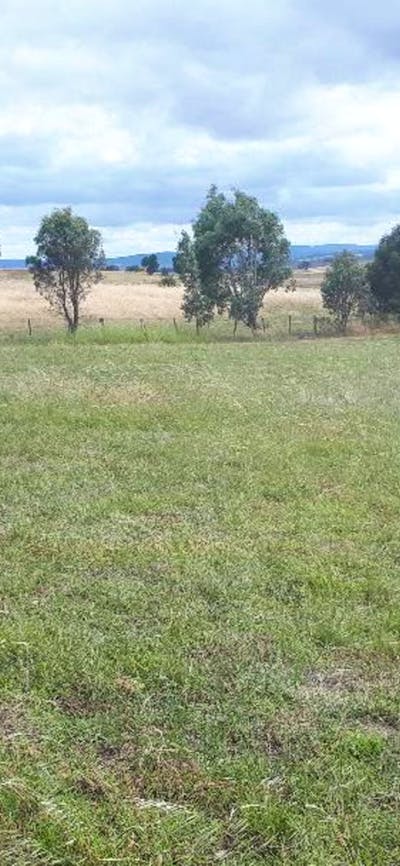 PEACEFUL RURAL PROPERTY SUTTON, NSW
