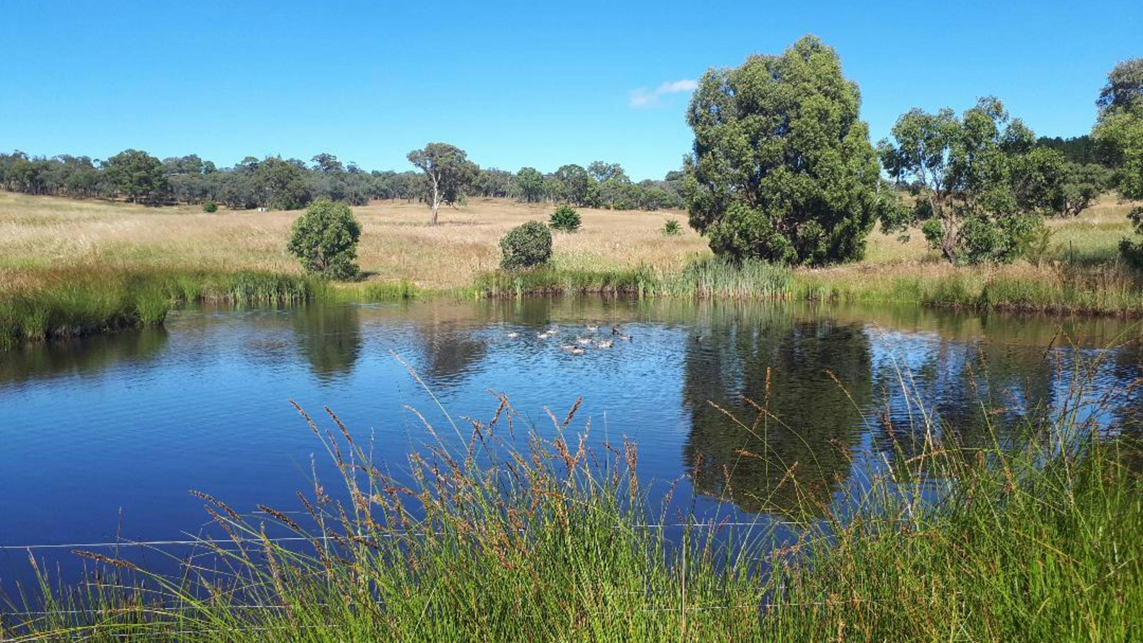 PEACEFUL RURAL PROPERTY SUTTON, NSW