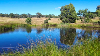 PEACEFUL RURAL PROPERTY SUTTON, NSW