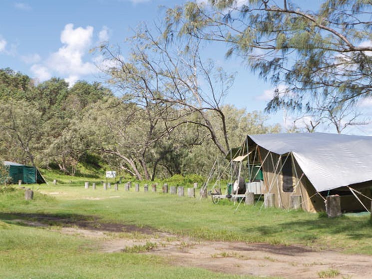 Tents at Pebbly Beach campground. Photo: Rob Cleary/DPIE