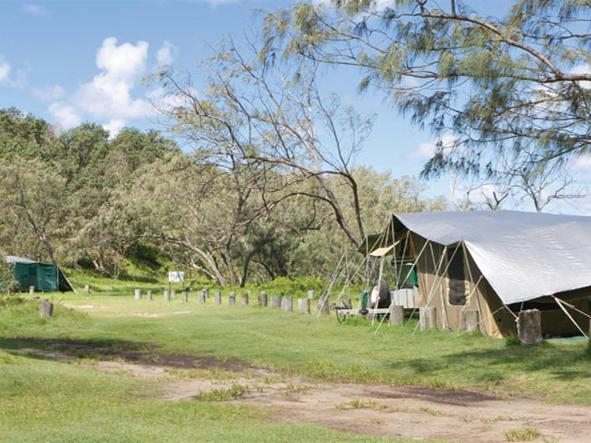 Pebbly Beach campground - Yuraygir National Park