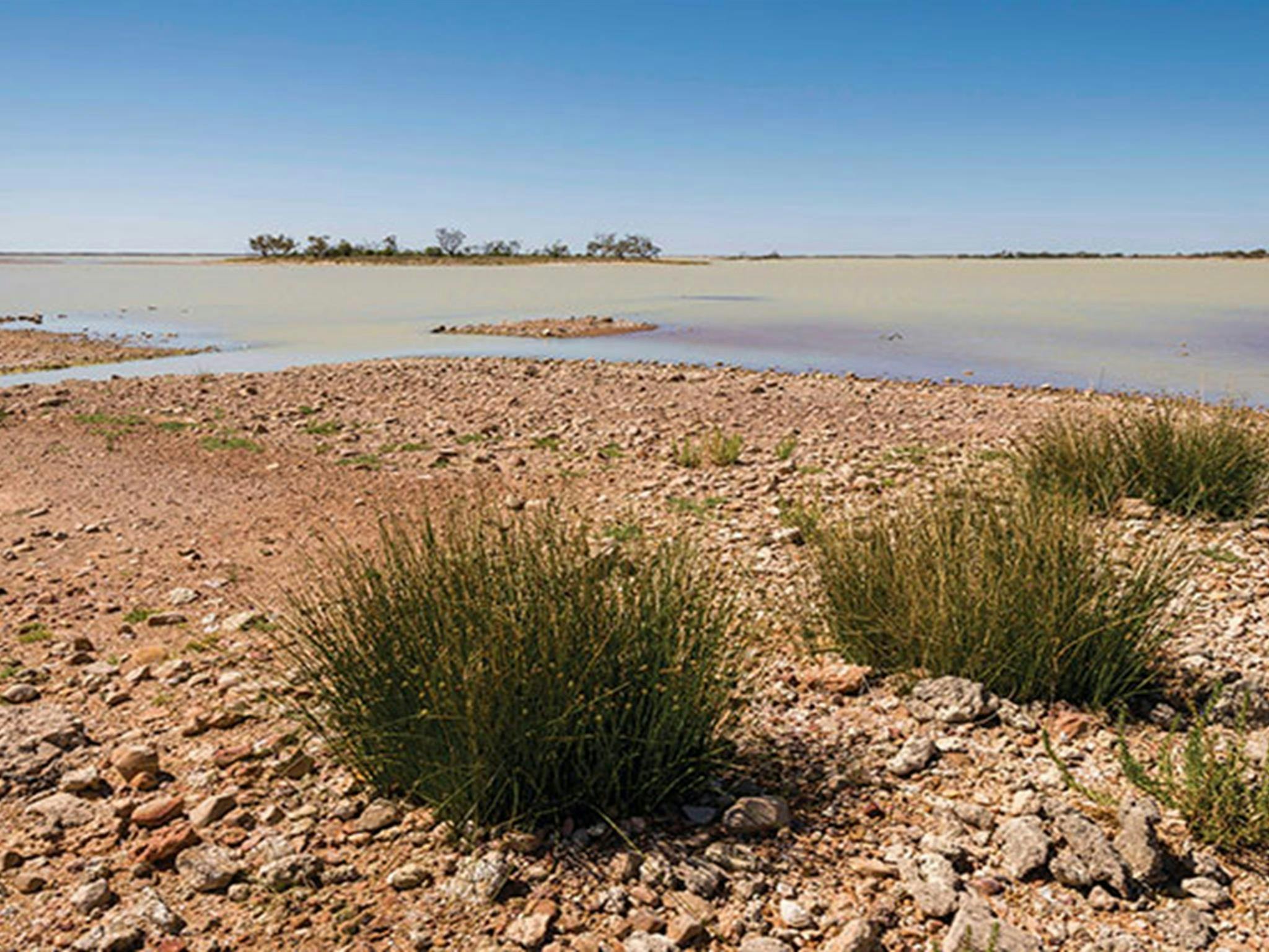Peery Lake im Paroo-Darling-Nationalpark. Foto: John Spencer © DPIE