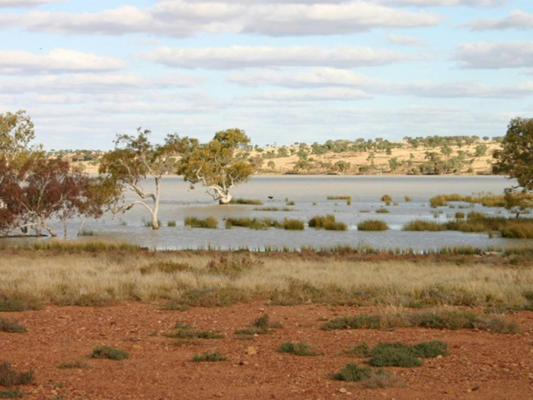 Peery Lake full of water in 2012. Photo: Dinitee Haskard OEH