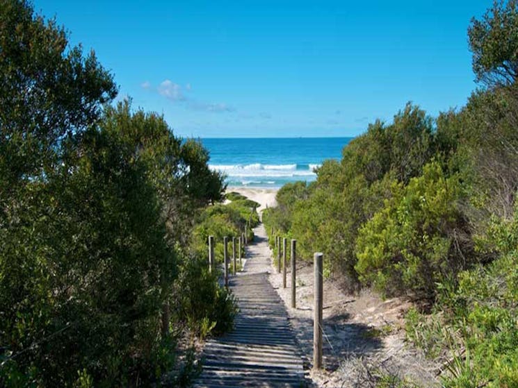 Track to Pelican Beach. Photo: John Spencer