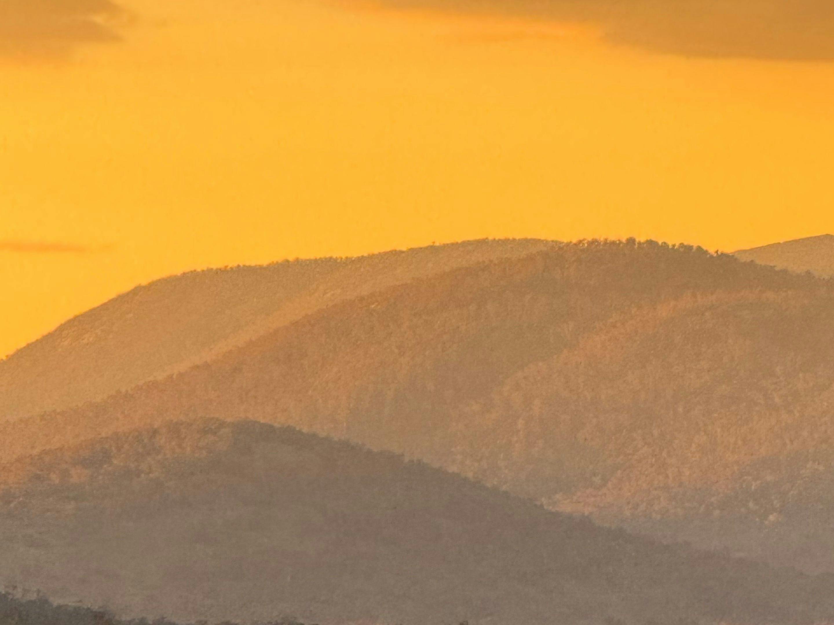Wombat Pines - Private Camping