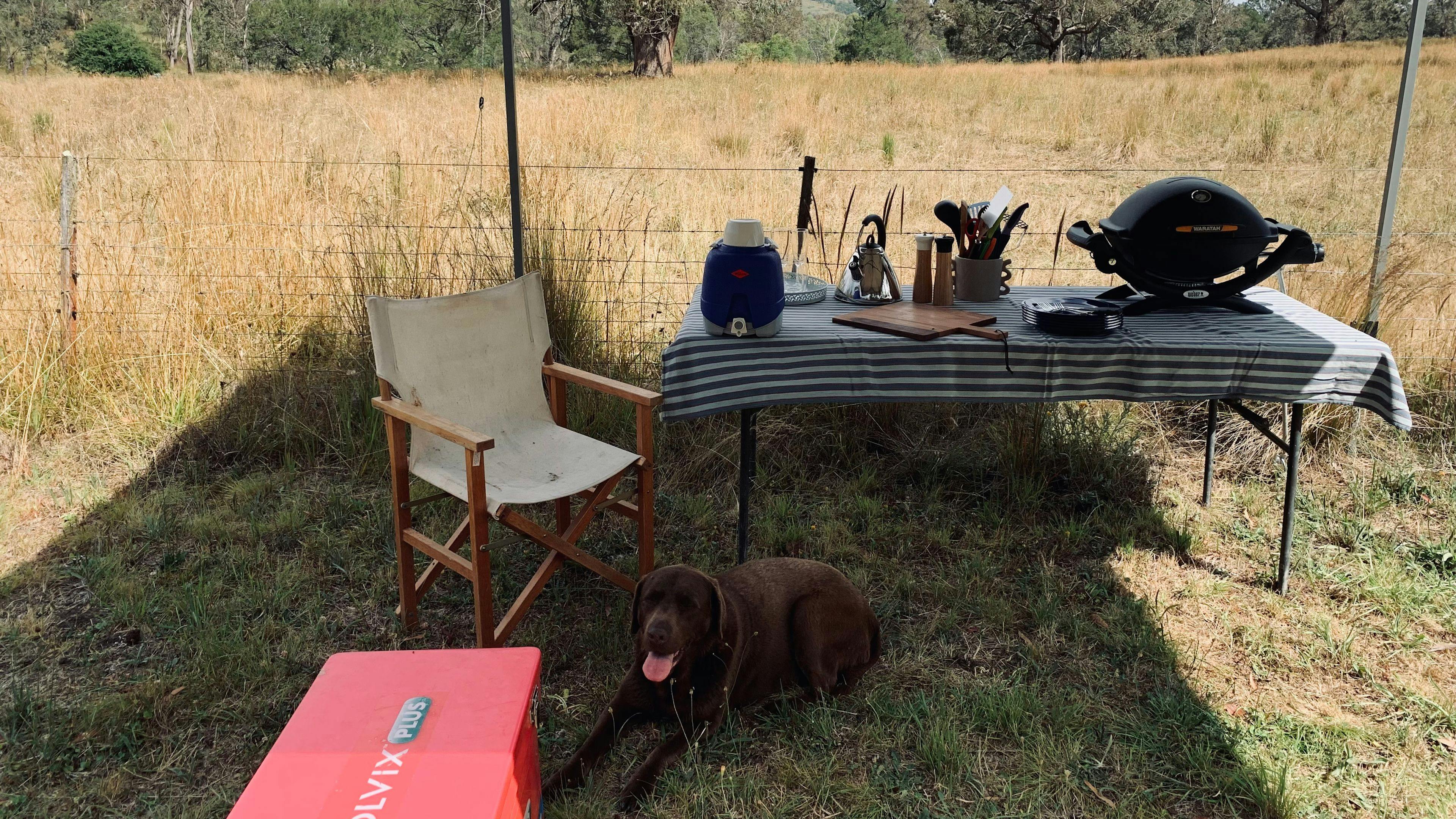 Outdoor cooking area and shade gazebo with BBQ, seating, esky and all cooking utensils provided. PLEASE NOTE: This is not a pet  friendly campsite.