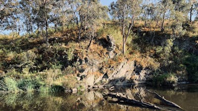 Image of Peppermint Flat Glamping