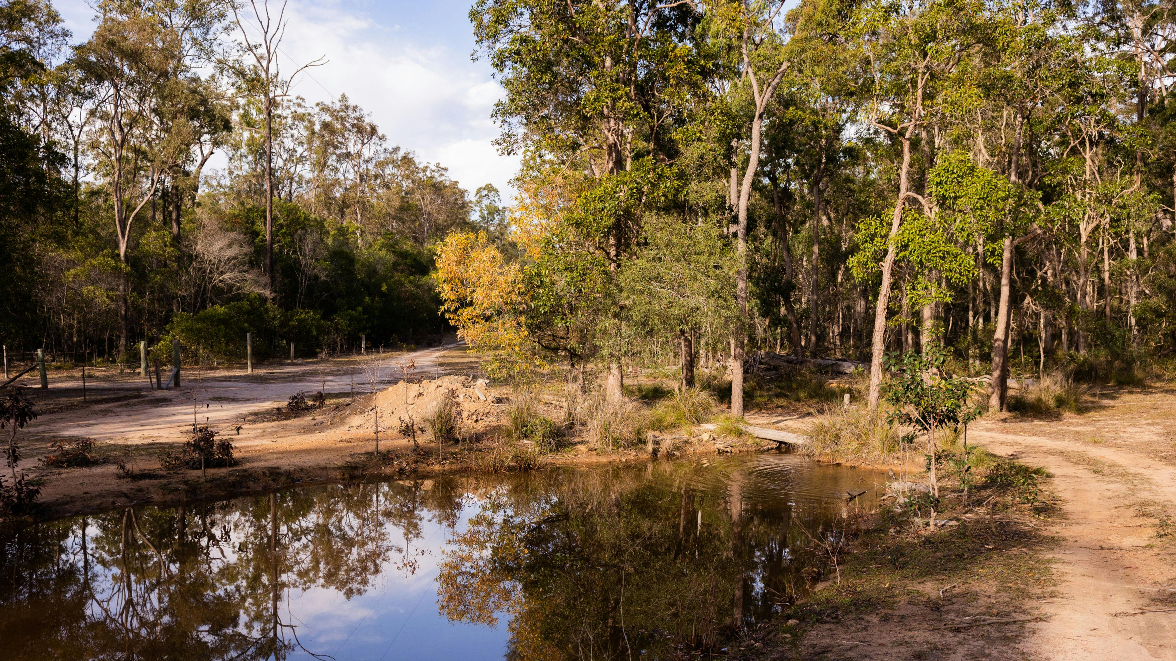 Peppy Park, near Maryborough