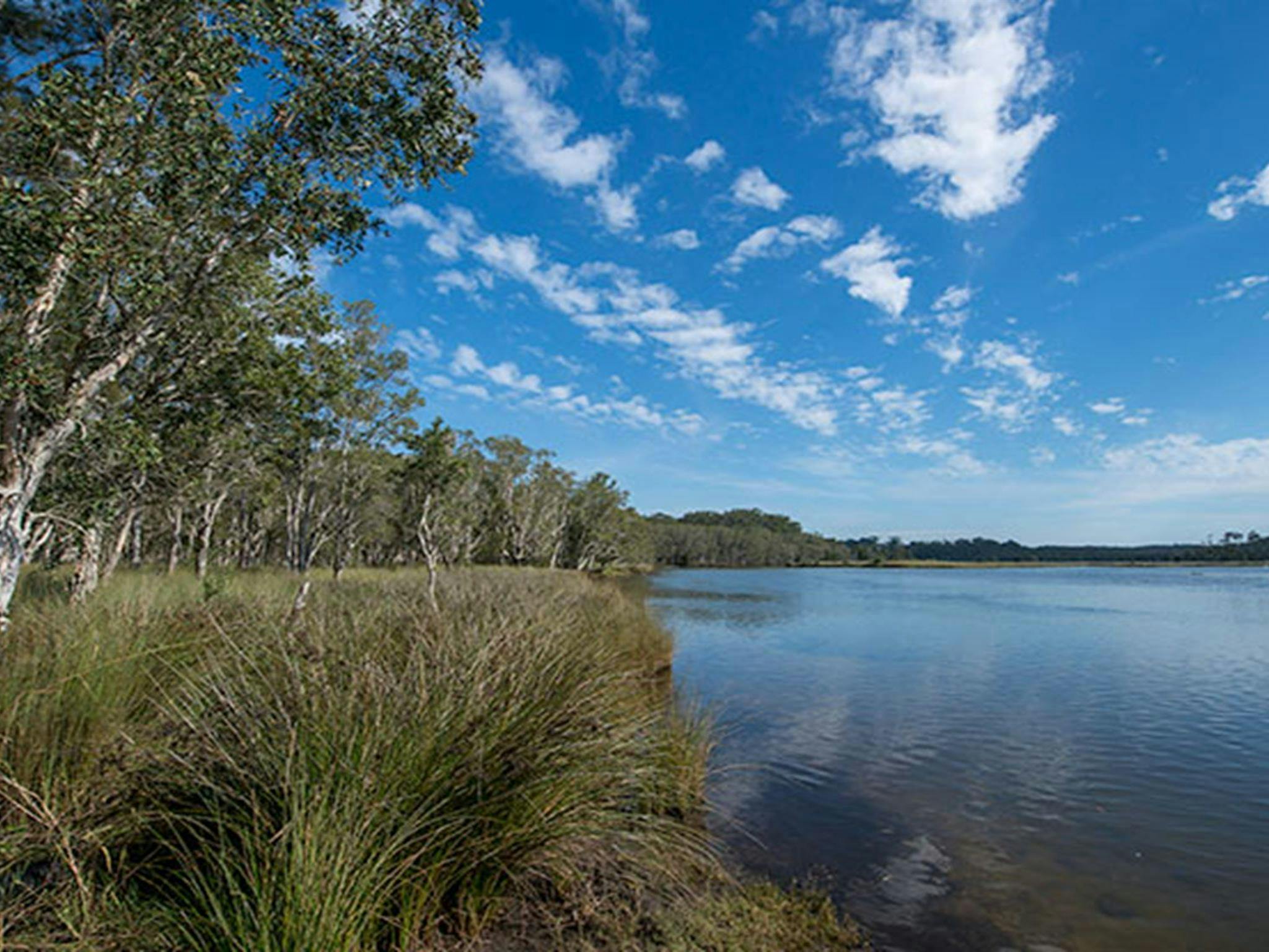 Perch Hole picnic area, Lake Innes Nature Reserve. Photo: John Spencer/NSW Government