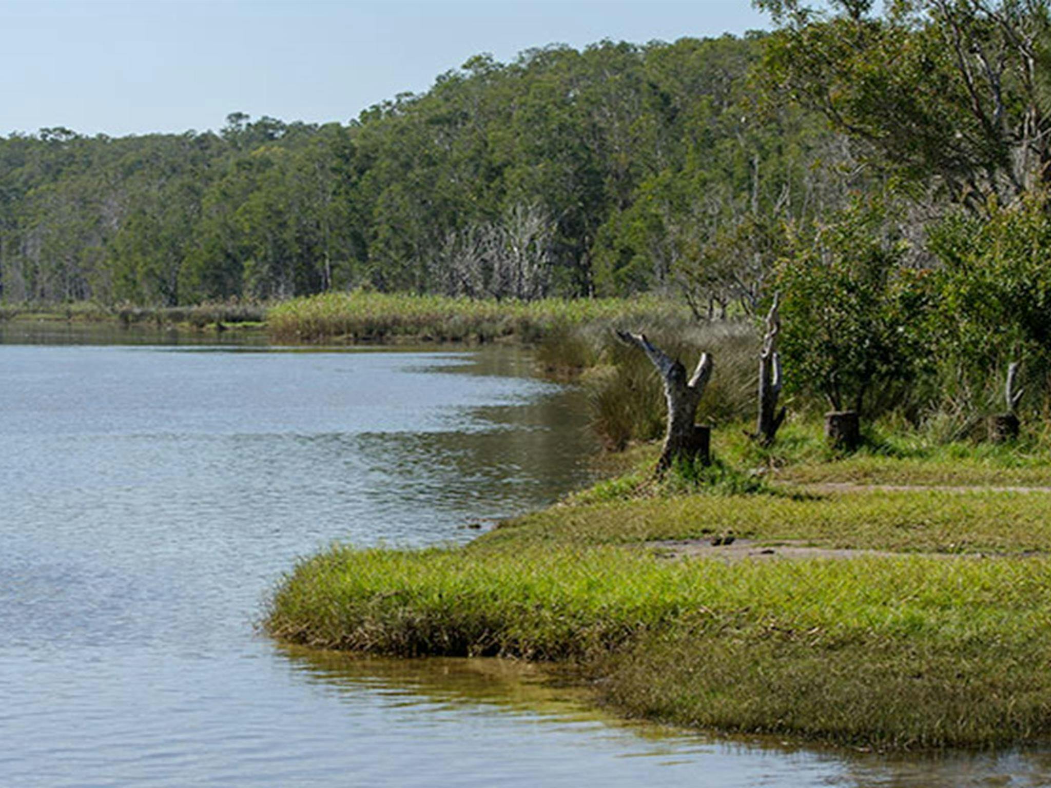 Perch Hole picnic area, Lake Innes Nature Reserve. Photo: John Spencer/NSW Government