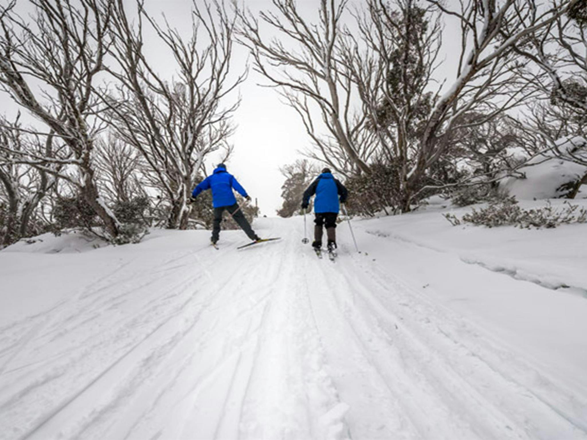perisher-cross-country-ski-