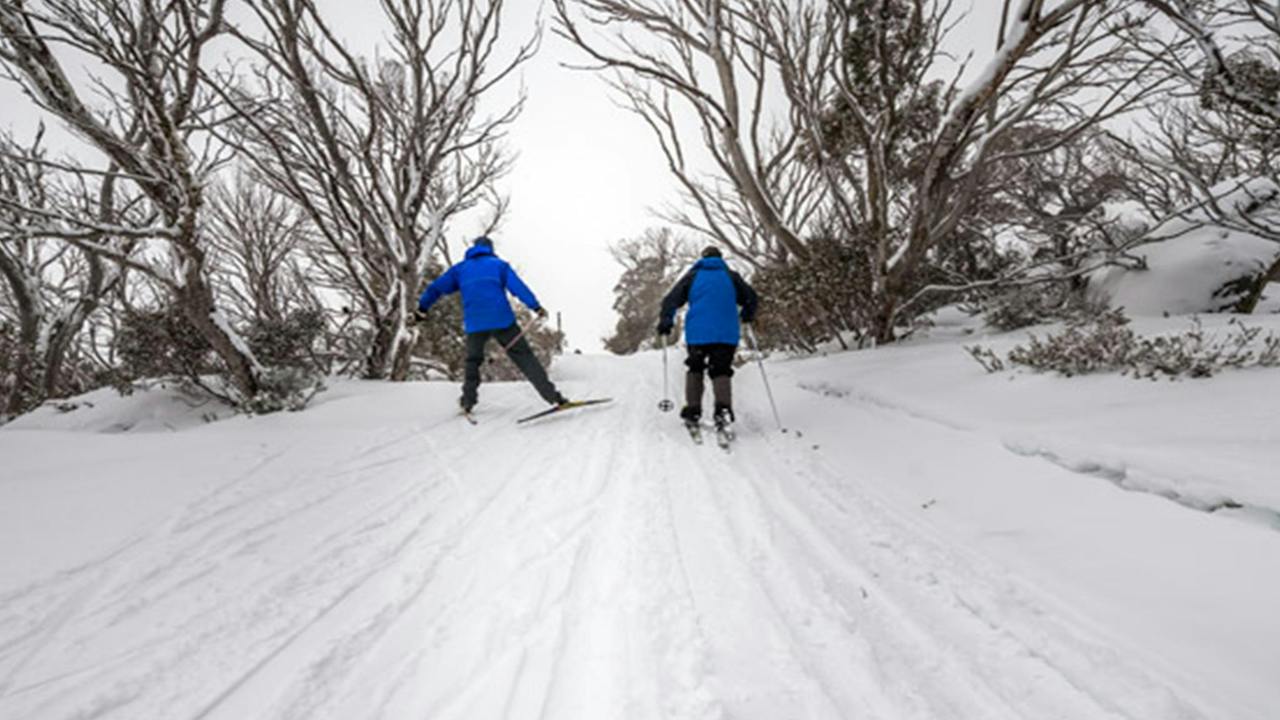 Perisher Range cross-country ski trails