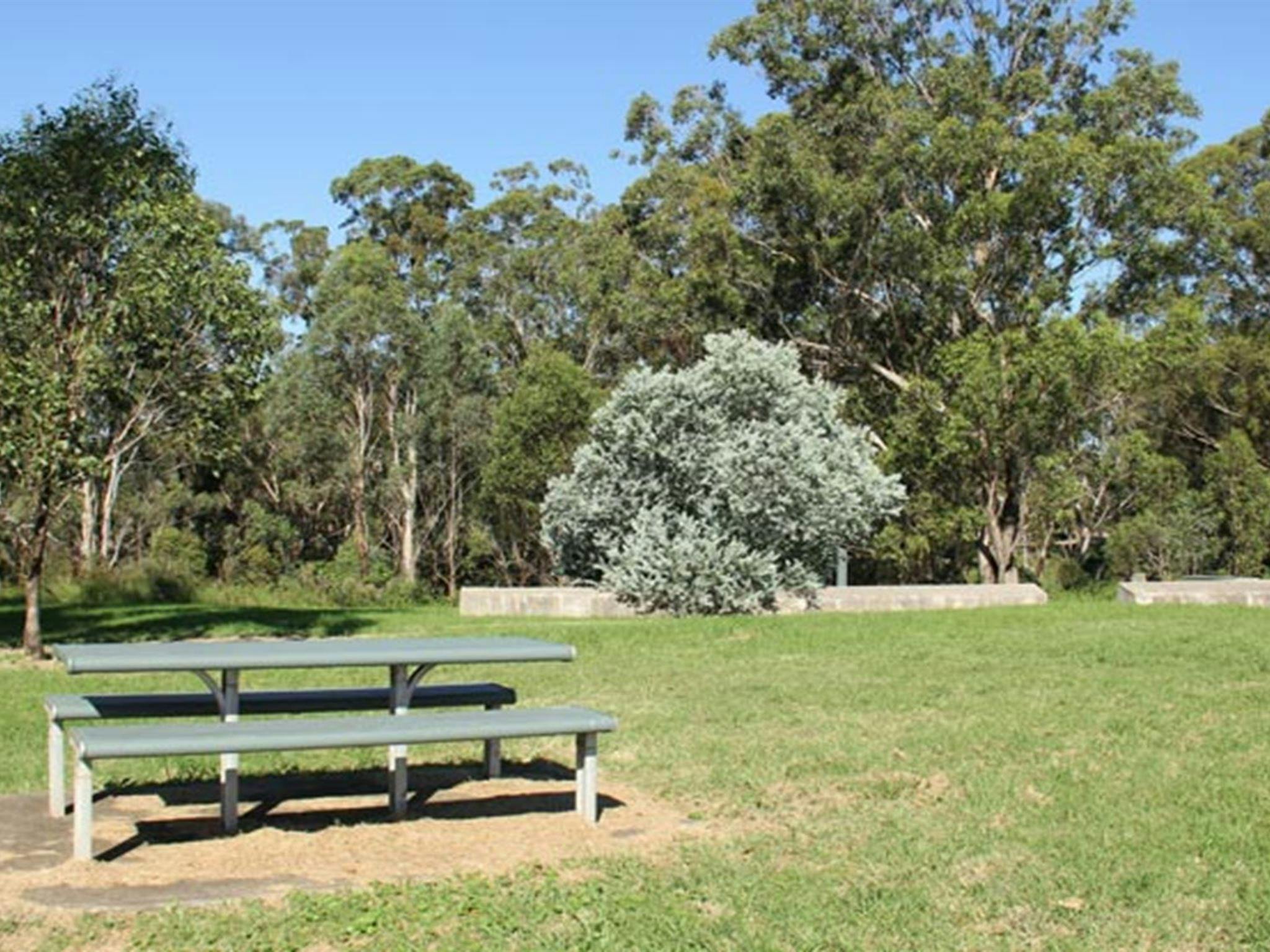 Picnic area, Leacock Regional Park. Photo: John Spencer &amp;copy; DPIE