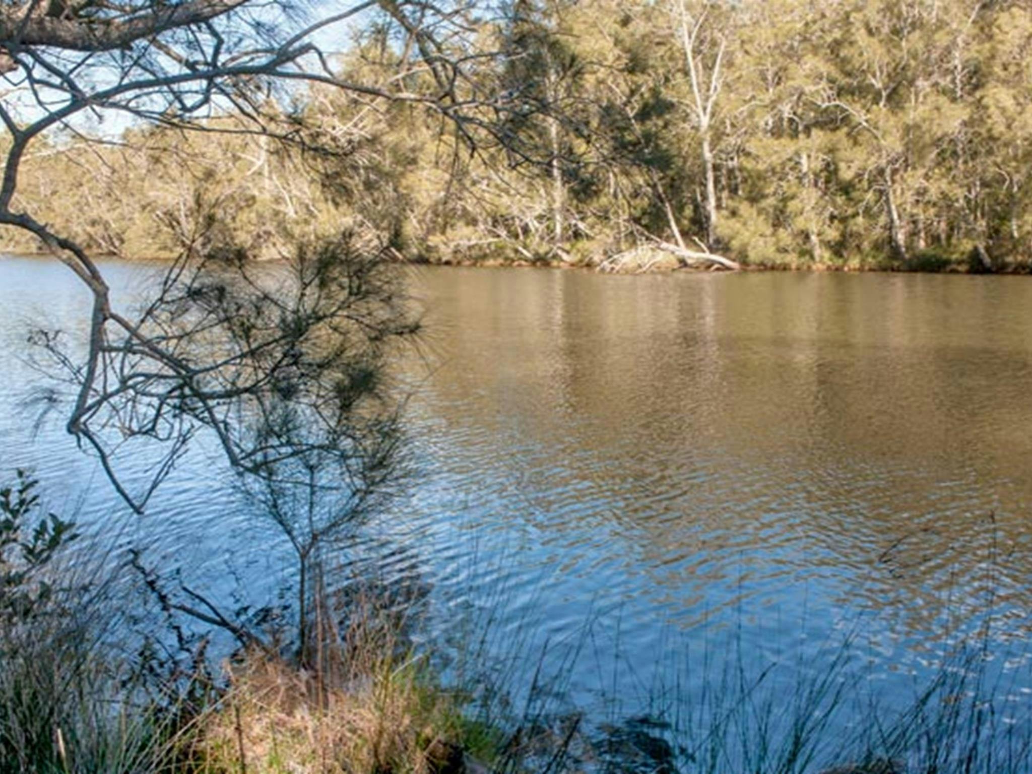 Picknickplatz Wandandian Creek, Corramy Regional Park. Foto: Michael van Ewijk &copy; OEH