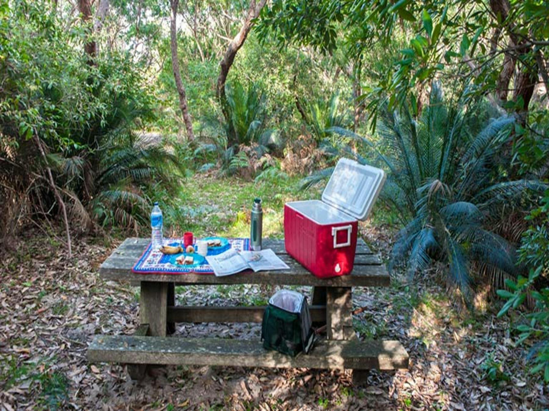 Conjola Beach picnic area, Narrawallee National Park. Photo: Michael van Ewijk © OEH
