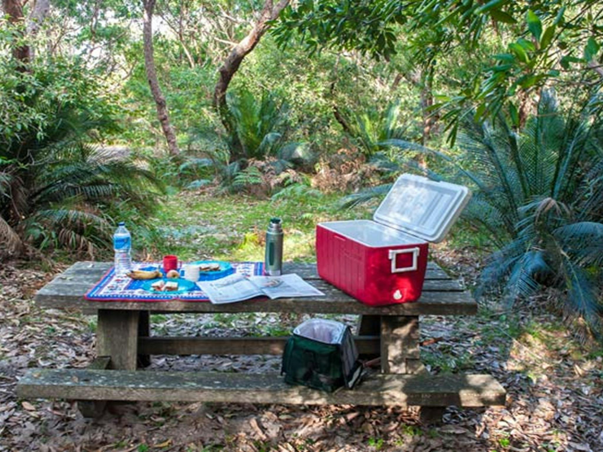 Conjola Beach picnic area, Narrawallee National Park. Photo: Michael van Ewijk &copy; OEH