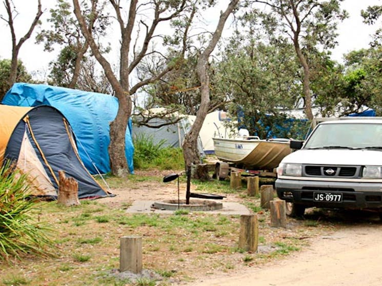 Picnic Point Campground, Mimosa Rocks National Park. Photo: John Yurasek Copyright: NSW Government