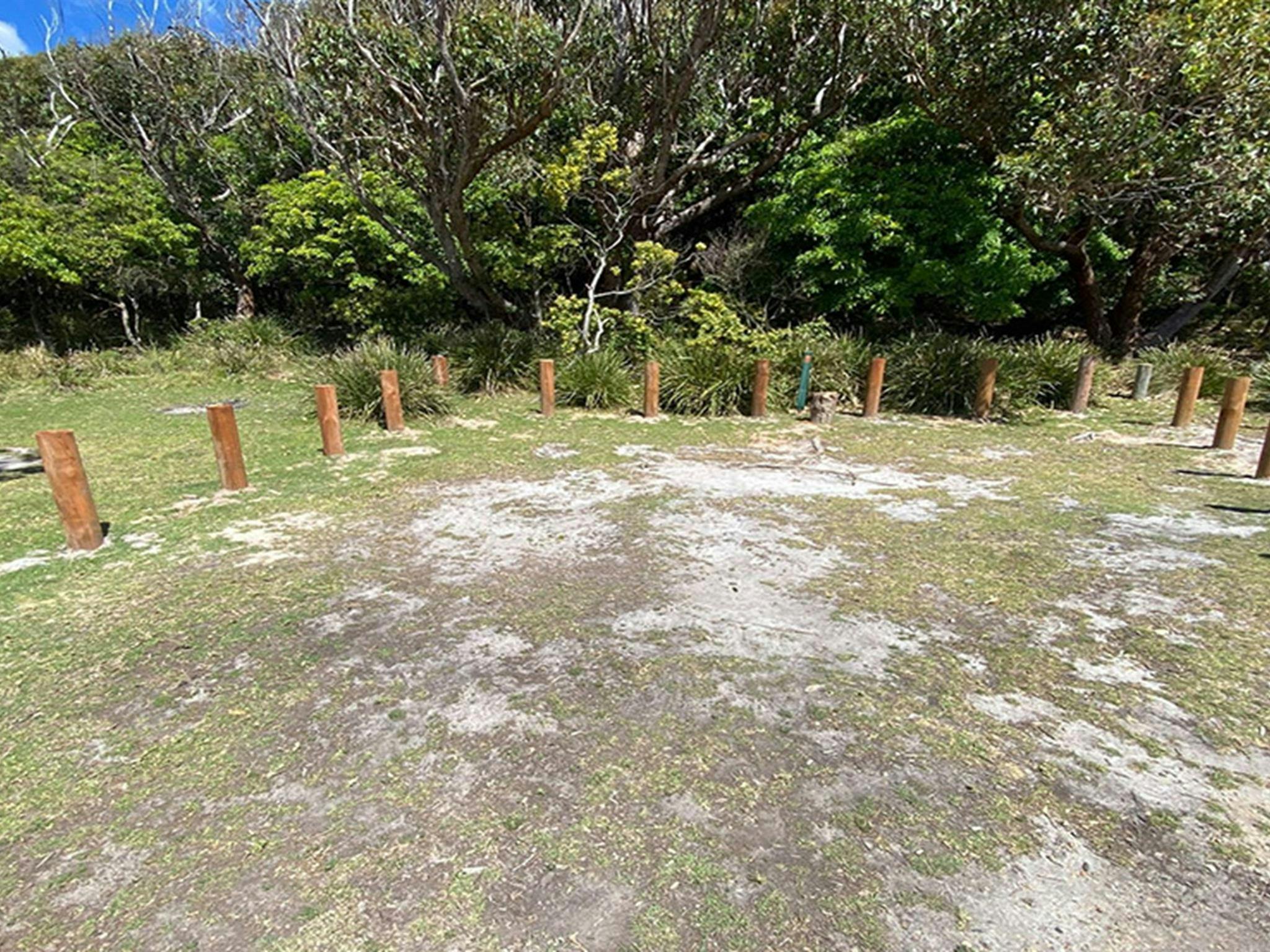 野餐点露营地15号营地。图片来源：© DCCEEW