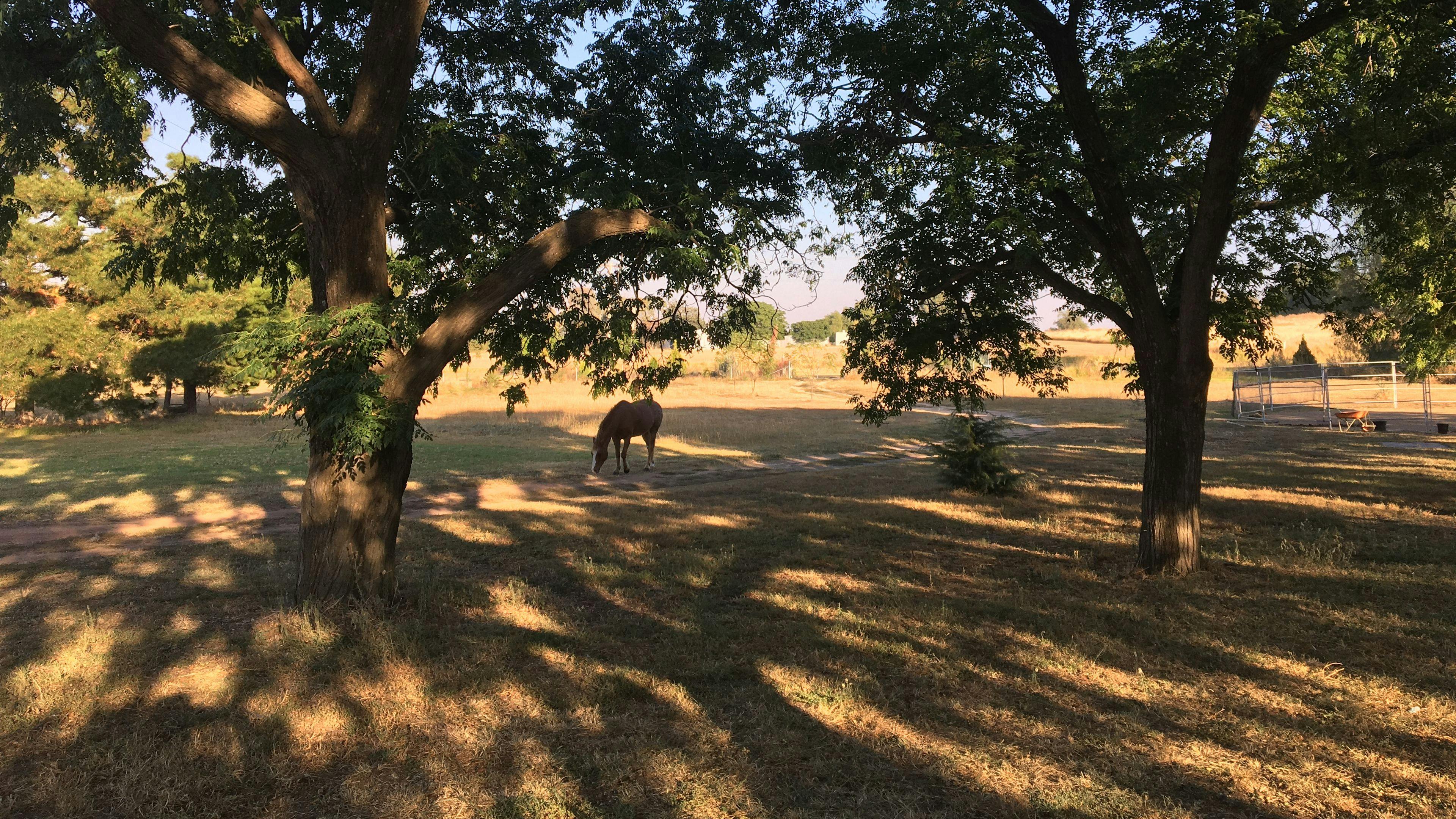 Picturesque Camping