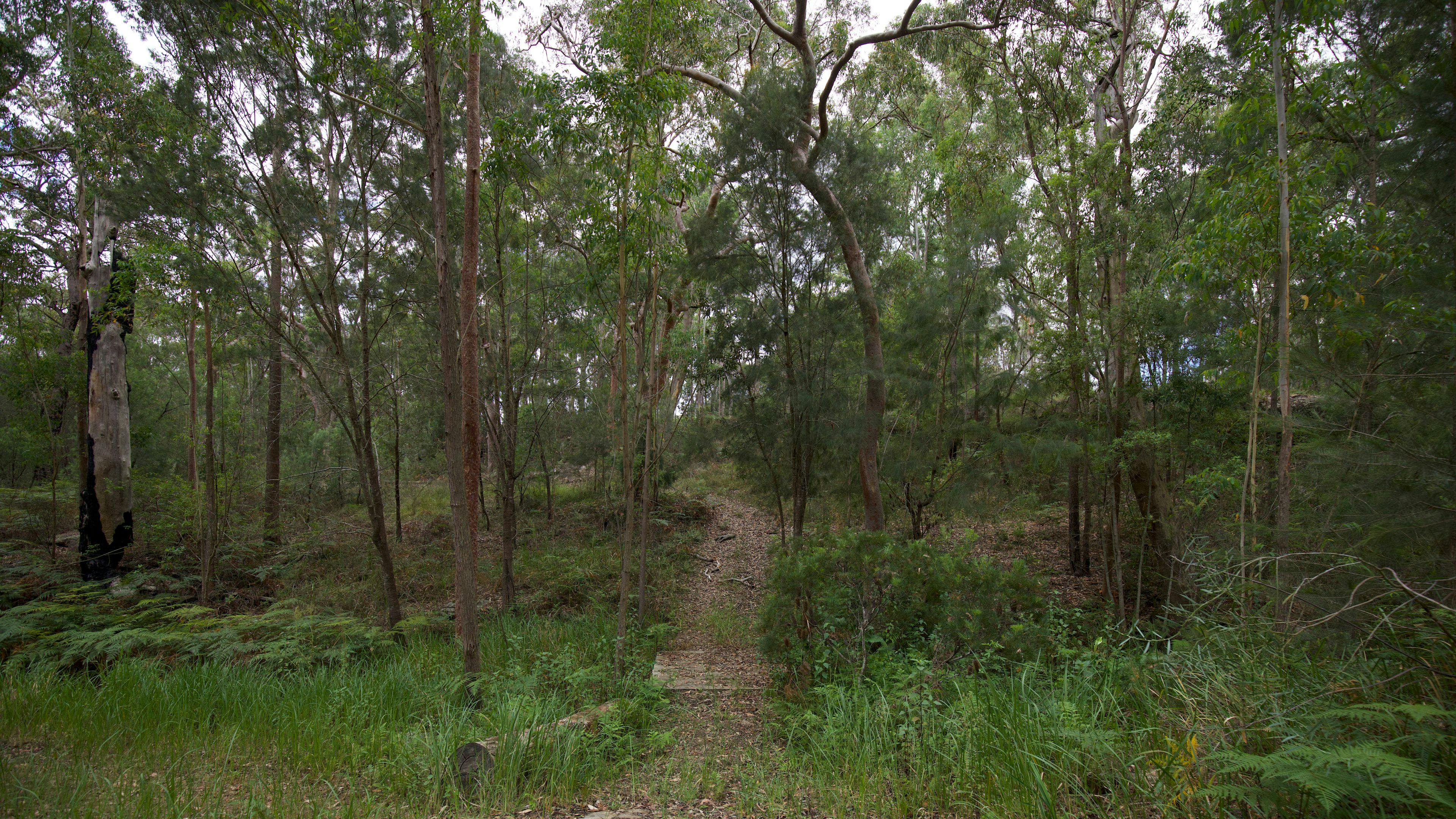 그림 같은 반농촌 주차장