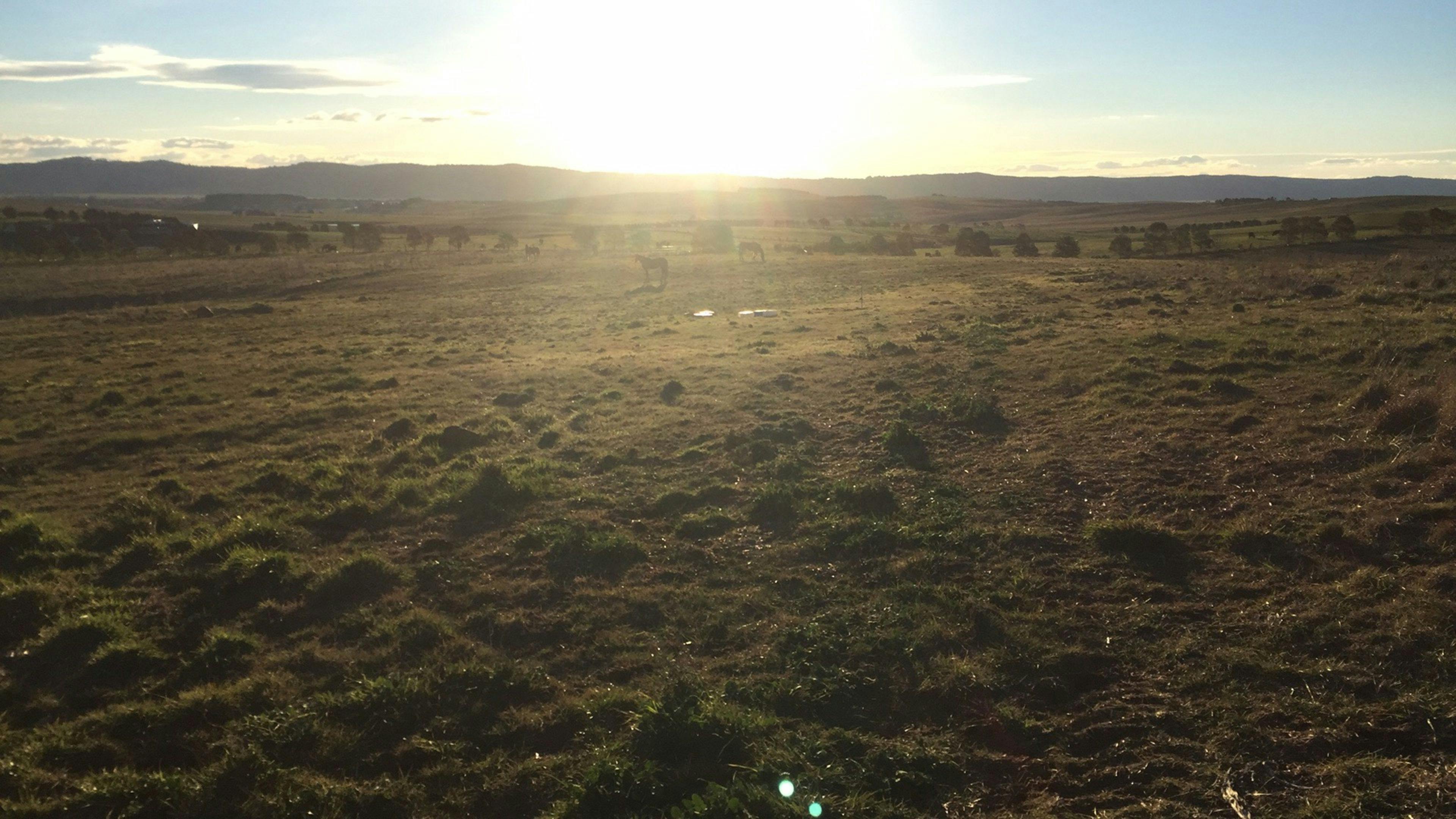 Picturesque views of Bungendore NSW Holidays & Things