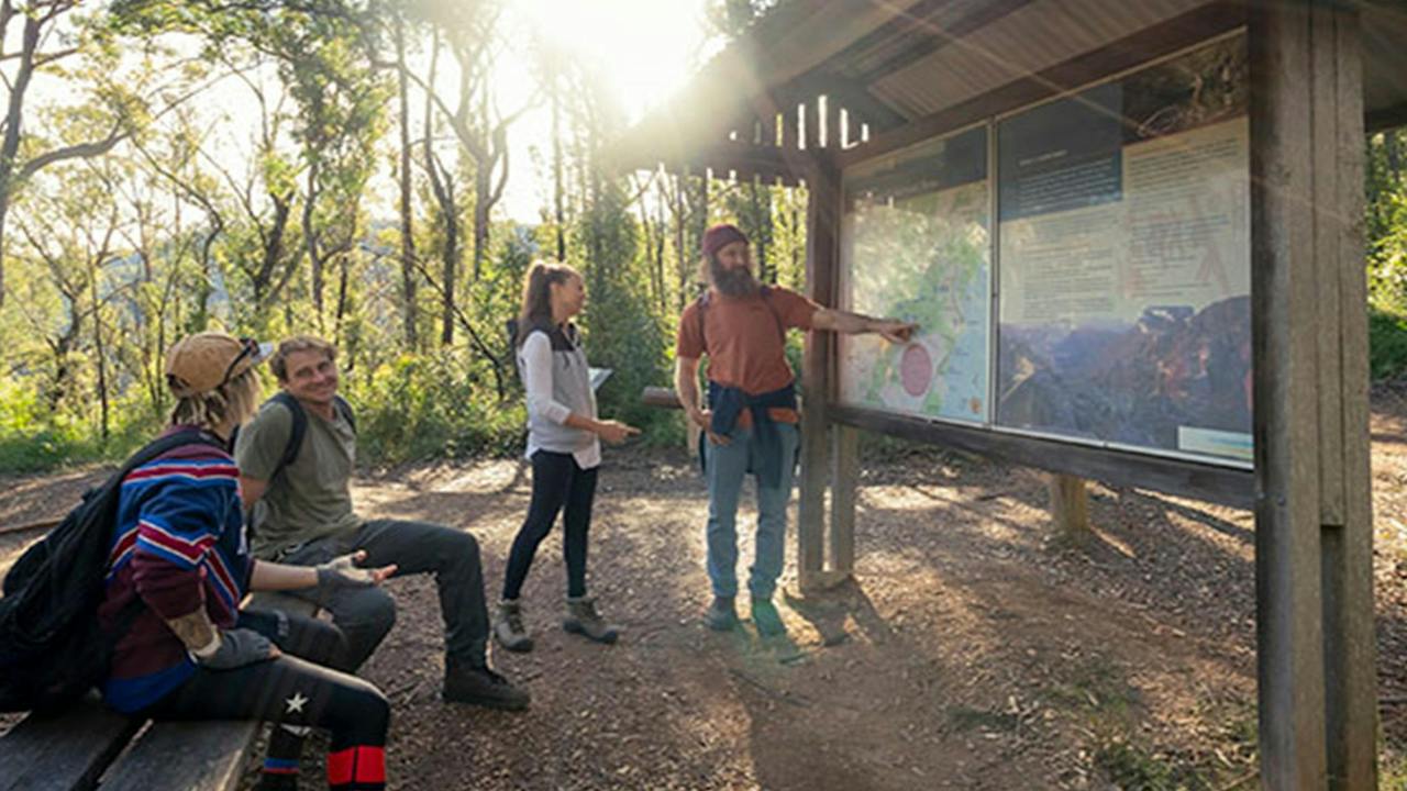 Pigeon House Mountain Didthul picnic area
