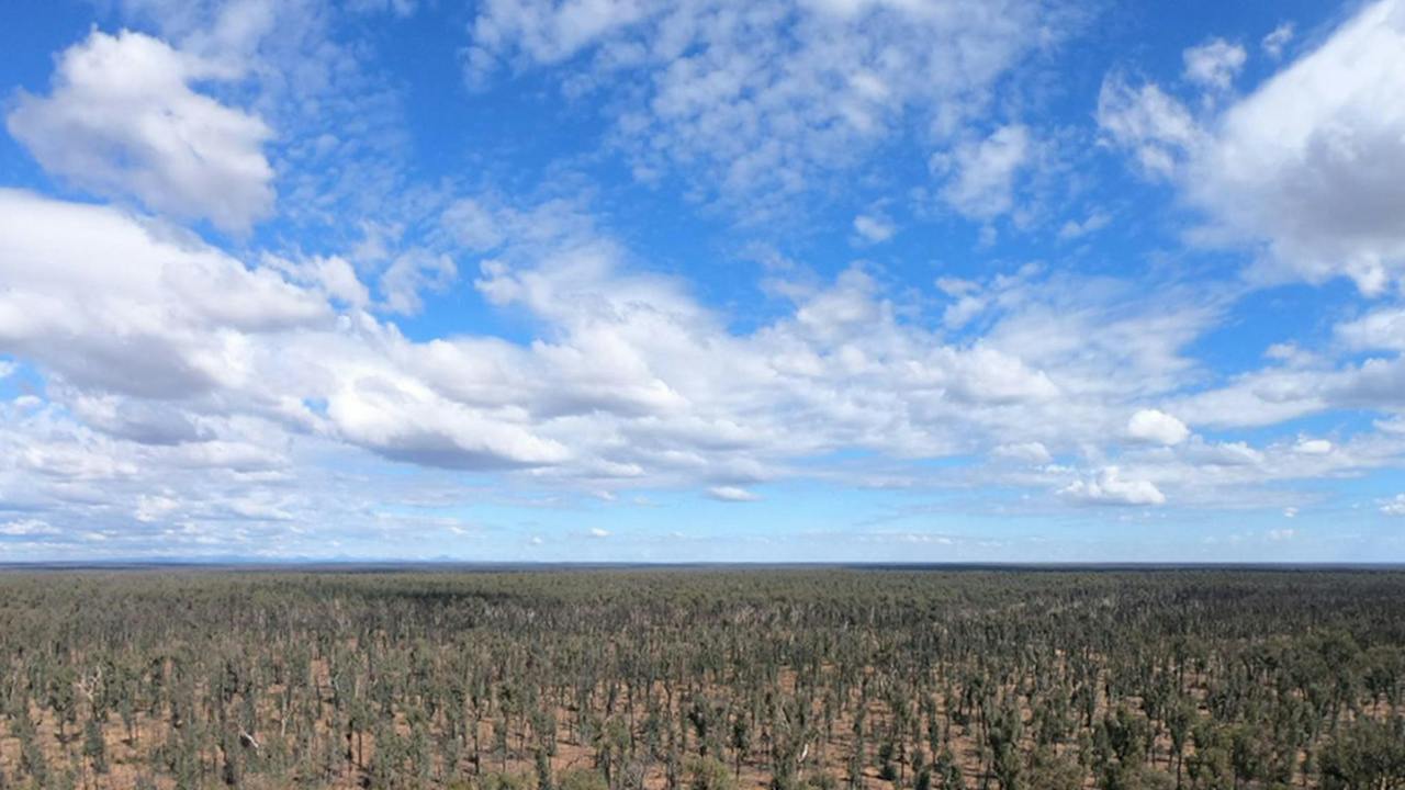 Pilliga Forest lookout tower