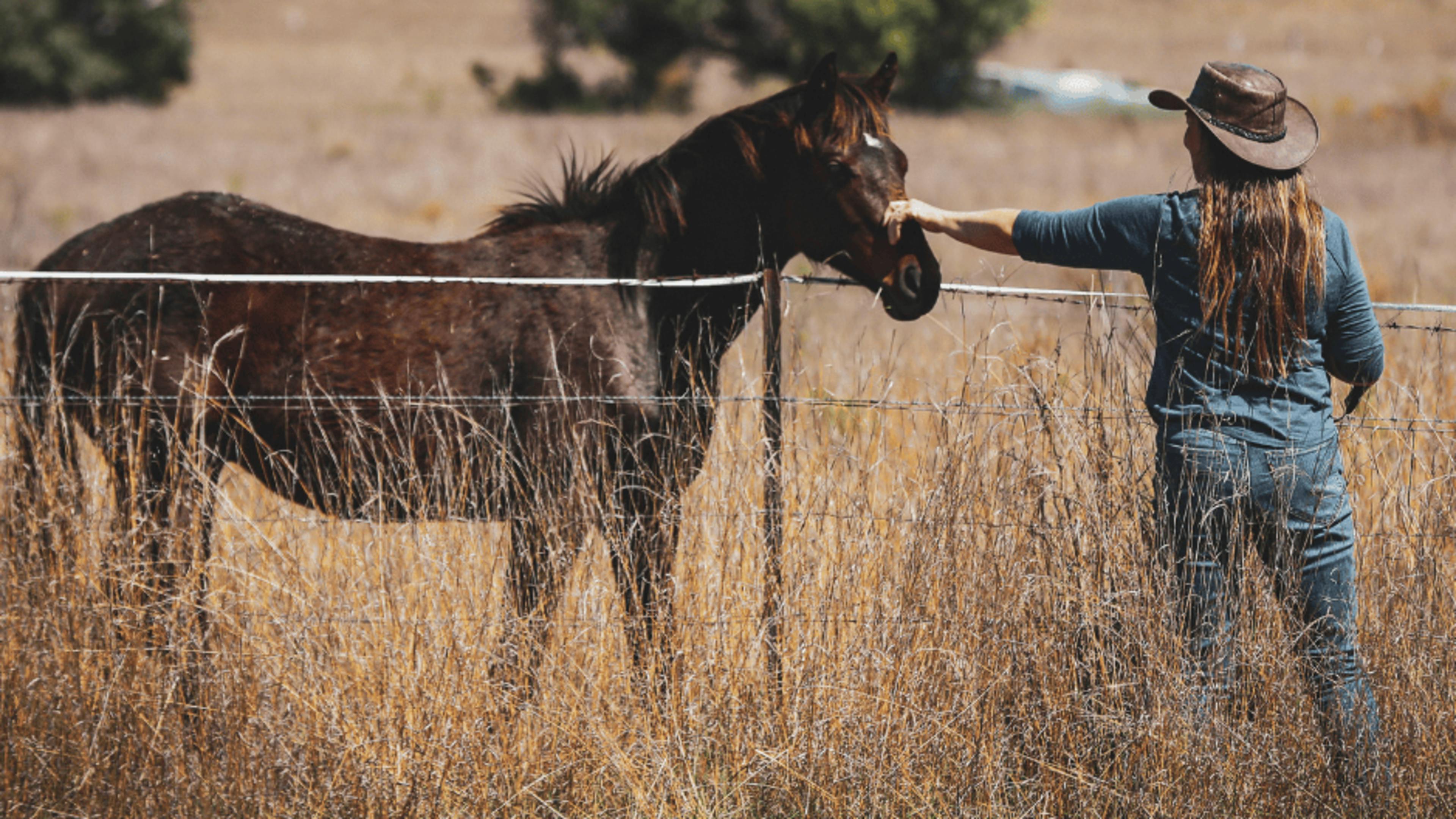 Pindari Centre Camping