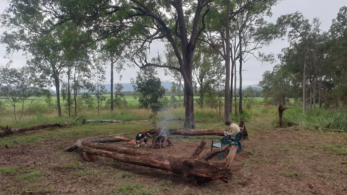Pioneer Valley Natural Forest